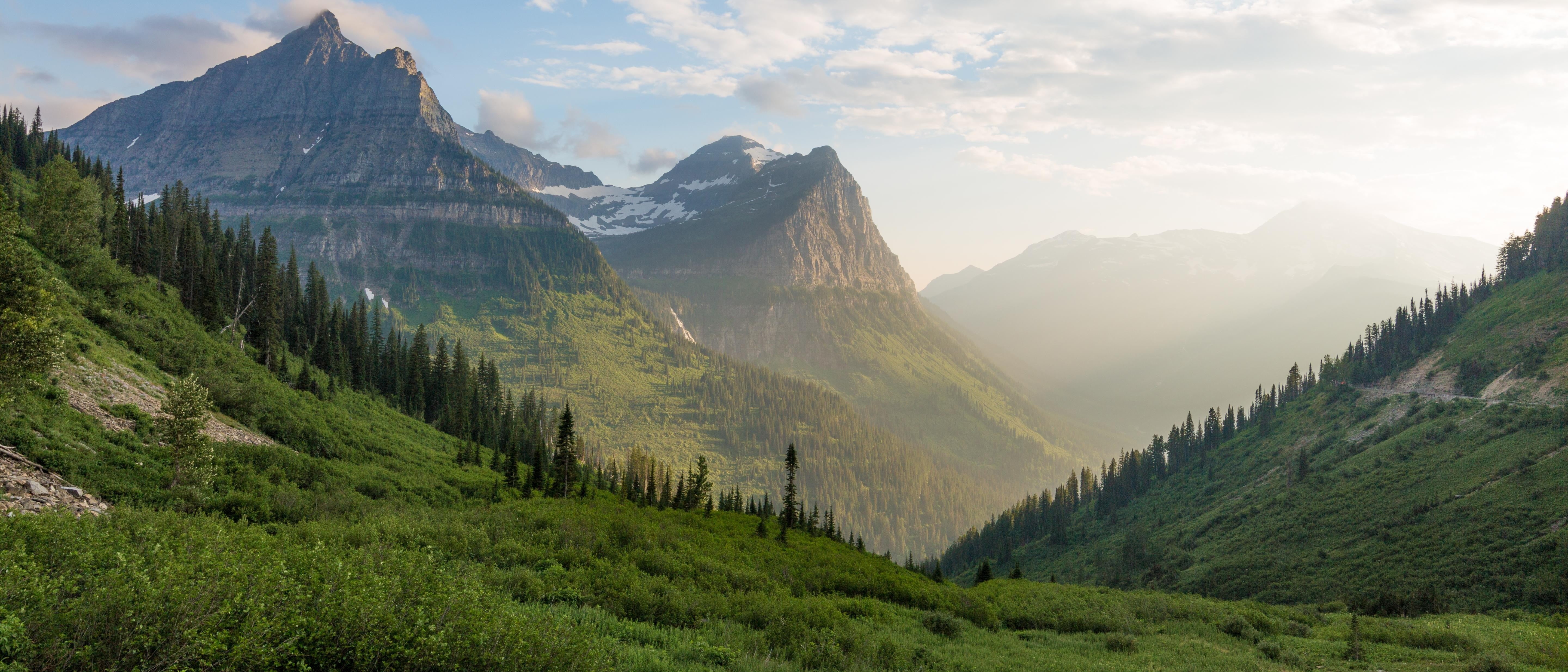 green color, USA, cloud - sky, Montana, no people, pine woodland, pine tree, green, fog, mountains, scenics - nature, 5K, tree, environment, mountain range, HD Wallpaper