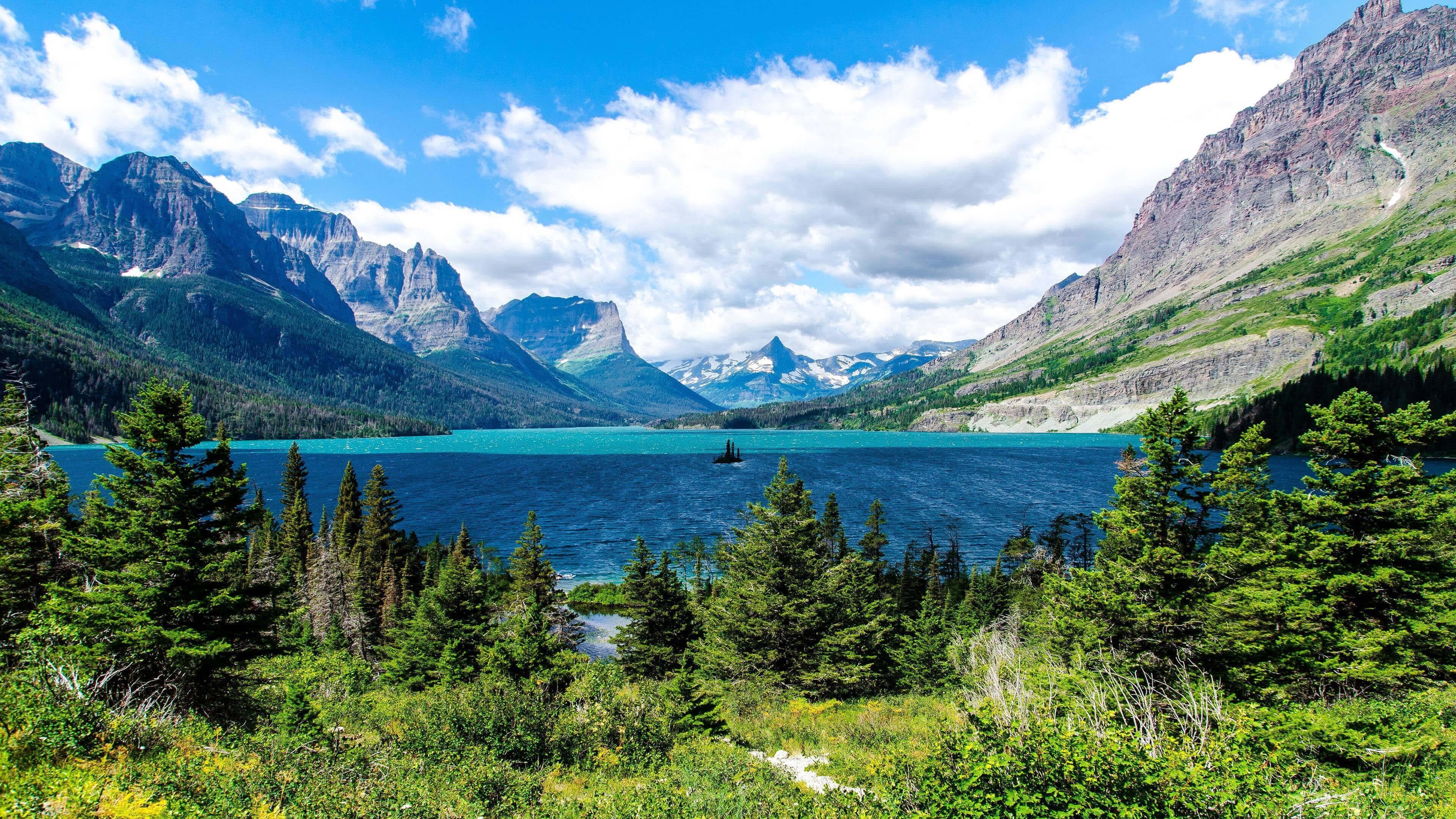 mountains, national park, nature, plant, mountain, land, environment, mountain range, beauty in nature, united states, no people, coniferous tree, glacier national park, HD Wallpaper