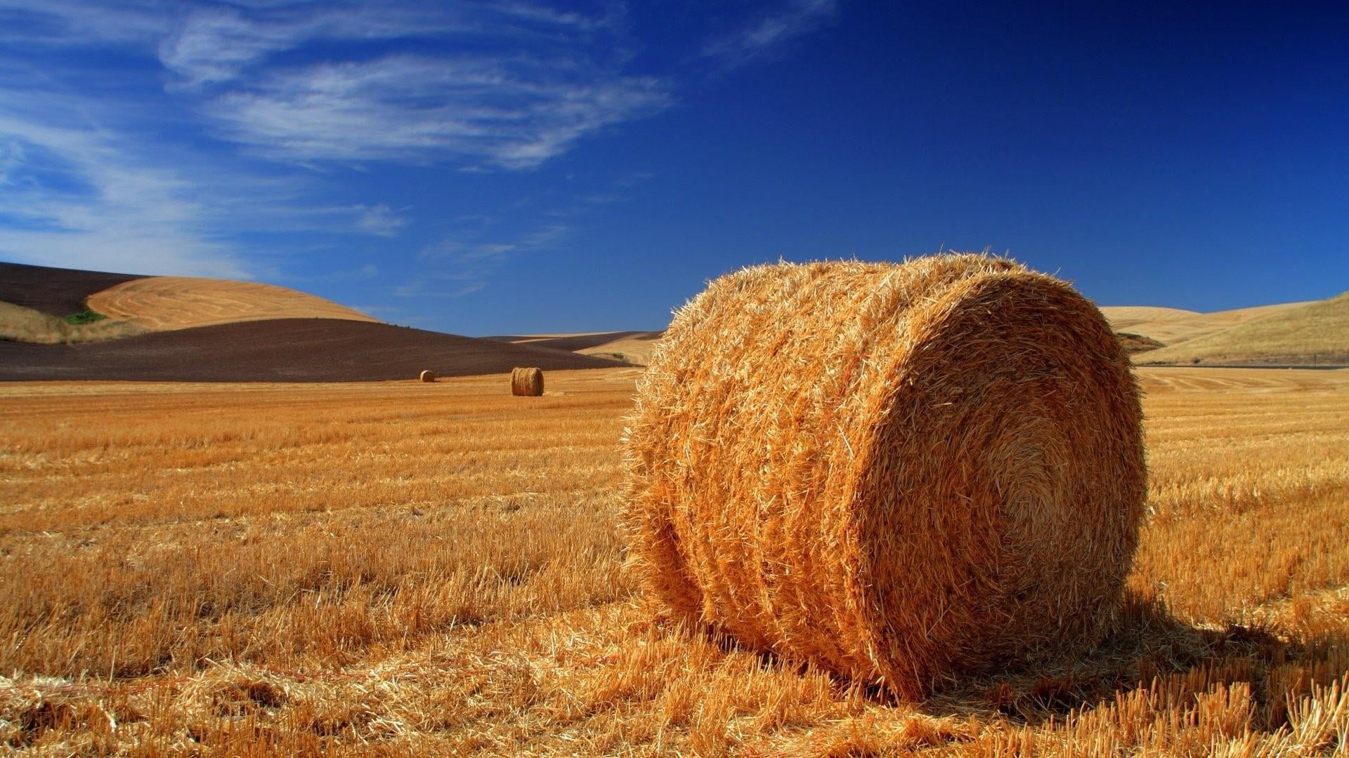 tranquil scene, harvest, haystack, outdoors, summer, 1080P, soil, environment, sky, sunny, hay bale, straw, plant, no people, scenics - nature, landscape, HD Wallpaper