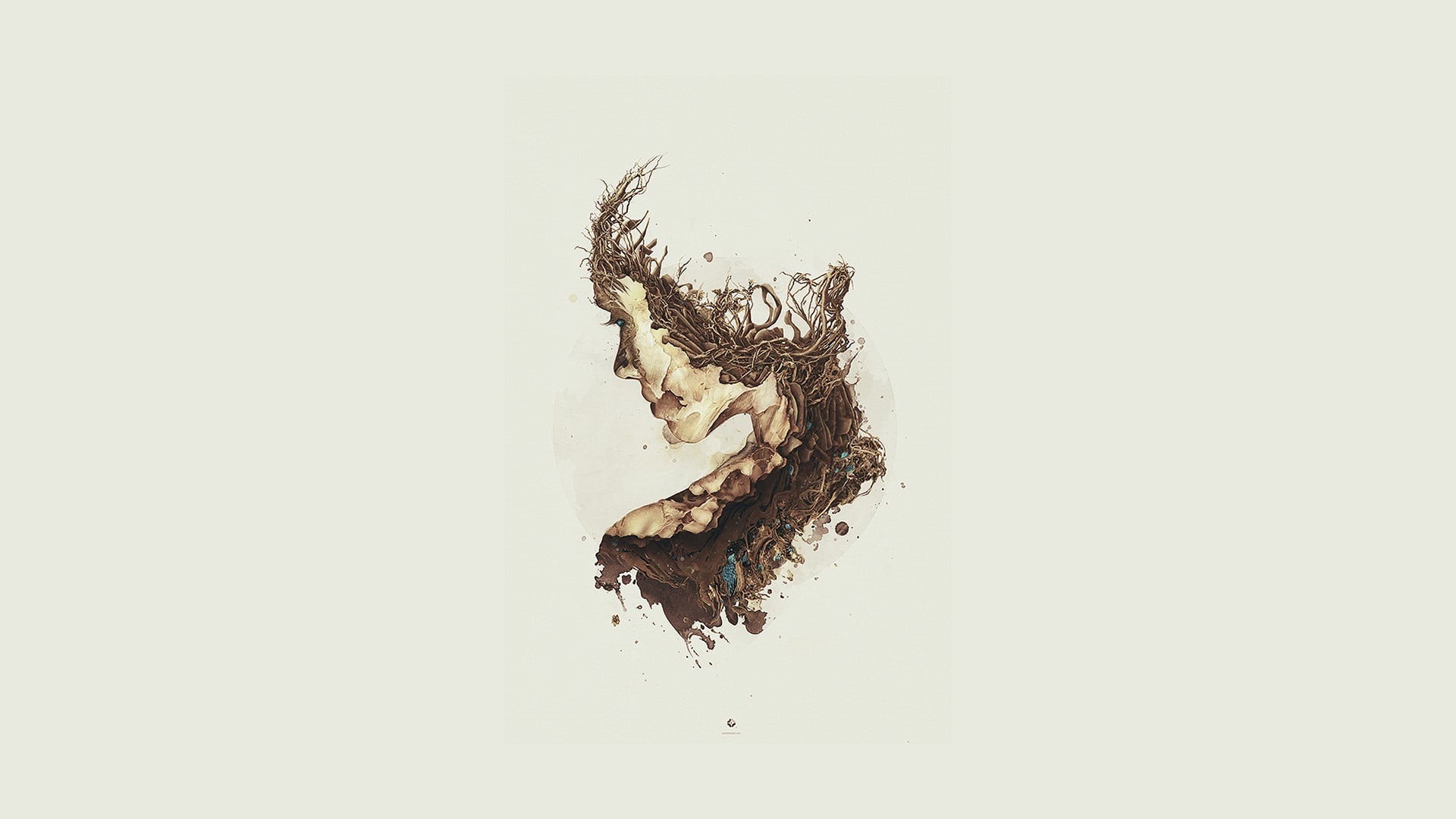 single object, food and drink, s, no people, close-up, cut out, dirty, white background, rotting, surreal, damaged, plant, minimalism, woman, white color, HD Wallpaper