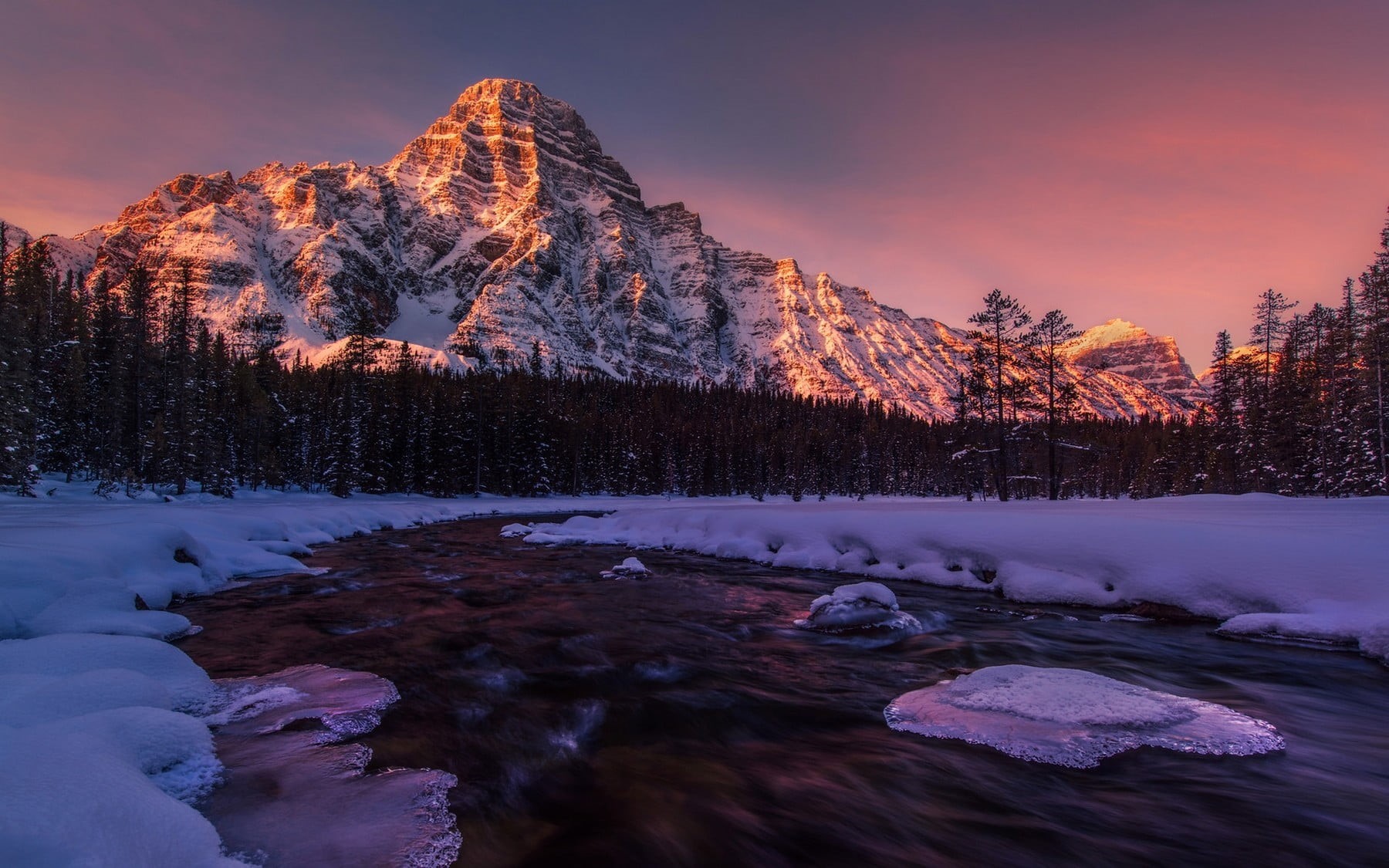 tree, nature, tranquil scene, plant, formation, cold temperature, frozen, forest, tranquility, purple, lake, non-urban scene, scenics - nature, Alberta, HD Wallpaper