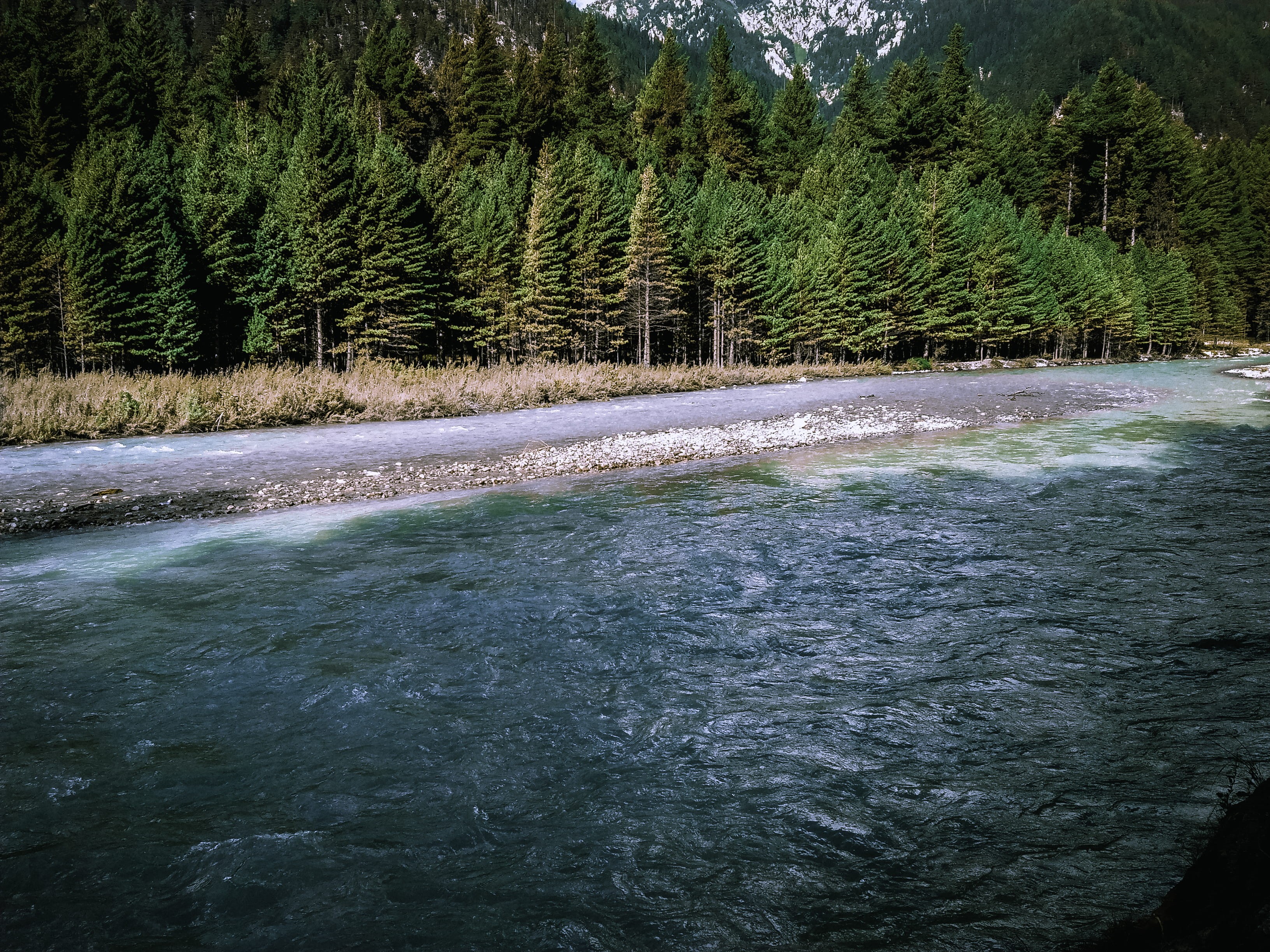 water, forest, 2K, growth, power in nature, waterfront, motion, beauty in nature, scenics - nature, outdoors, no people, land, day, tree, flowing water, HD Wallpaper
