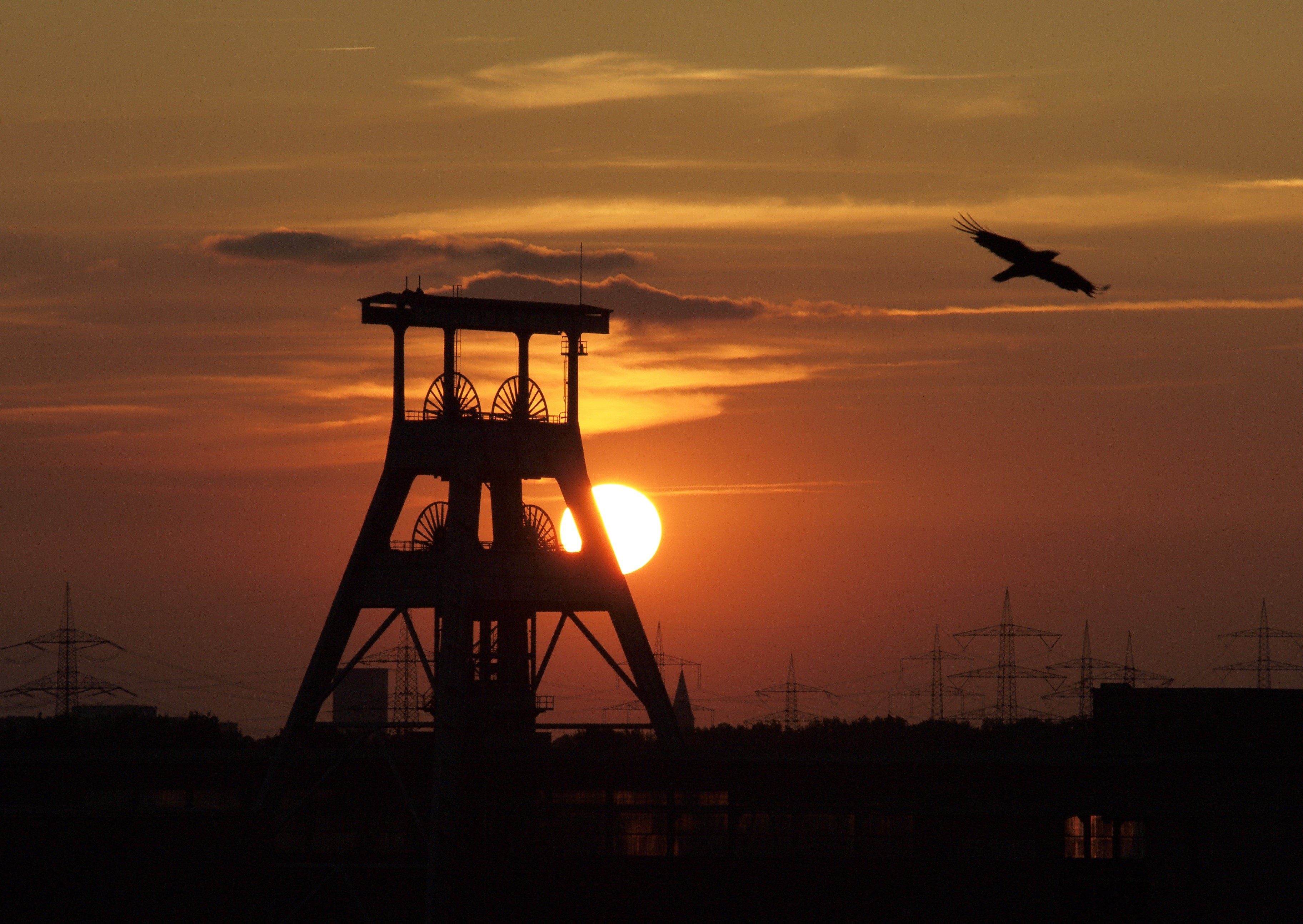 industrial heritage, sky, industry, cloud - sky, herten, scenics - nature, ewald, nature, 2K, ruhr area, bill, gliding, bird, historically, mining, orange color, HD Wallpaper
