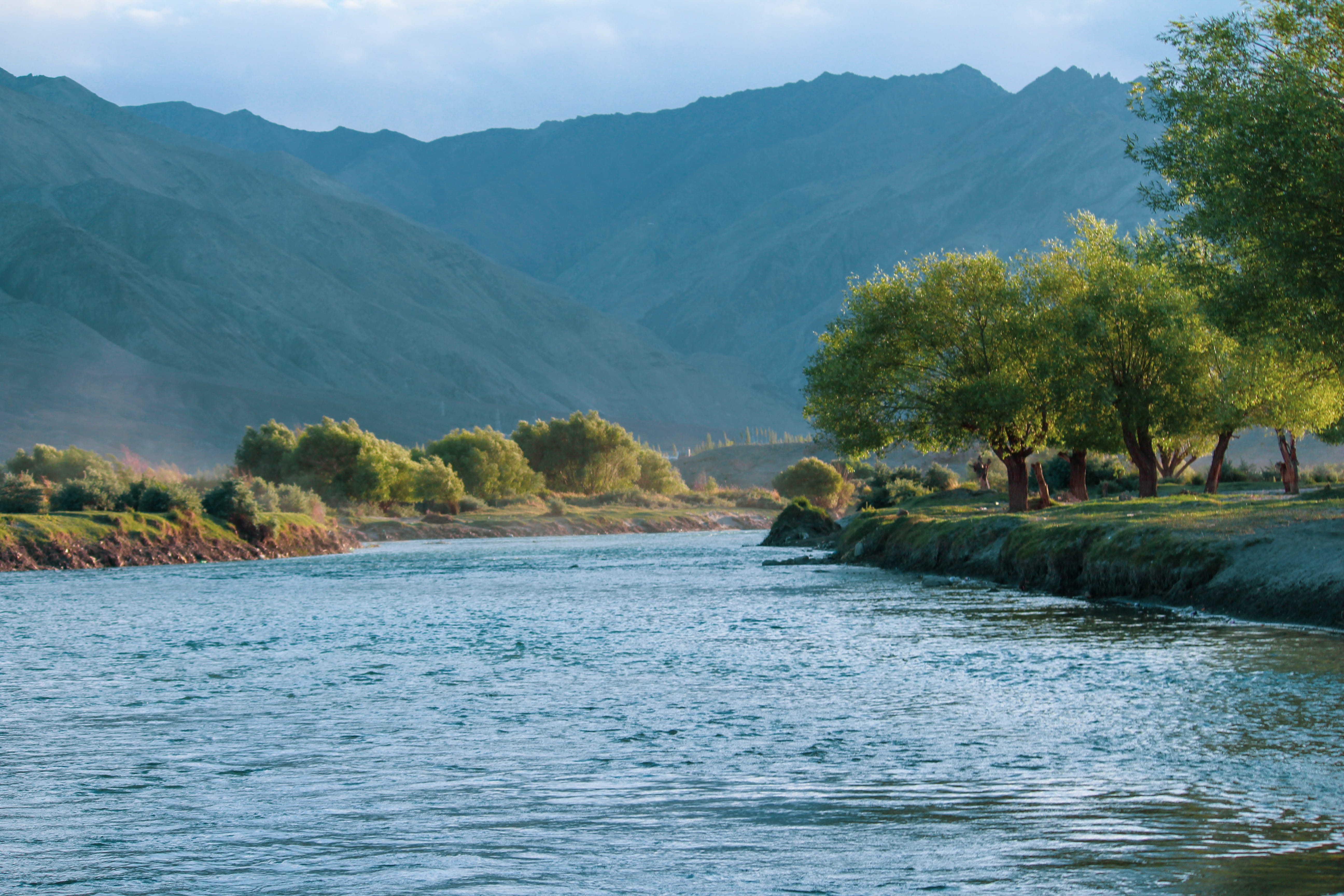 mountain, water, plant, ladakh, indus, mountains, mountain range, nature, india, scenics - nature, river, tree, trees, no people, indus river, beauty in nature, HD Wallpaper