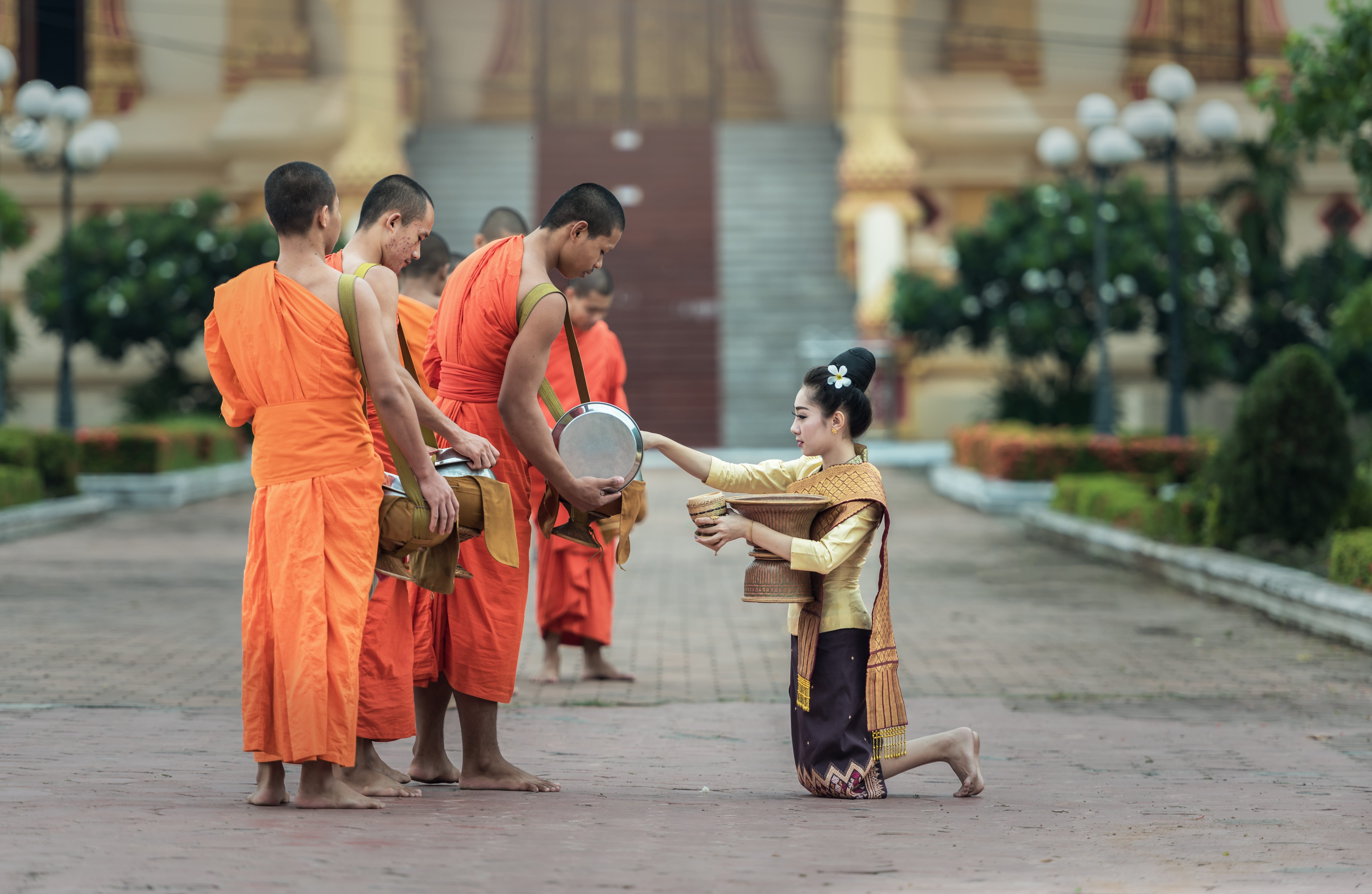 monastery, faith, females, street, group, buddhism, group of people, young, orange, human, full length, thailand, worship, buddha, kneeling, males, religion, HD Wallpaper
