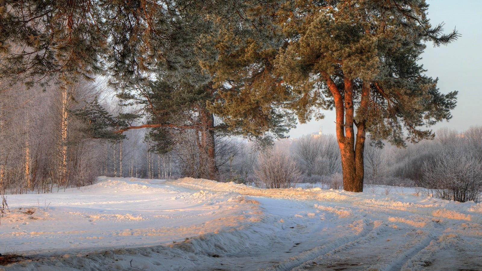 plant, tranquility, non-urban scene, Russia, house, no people, shrubs, morning, covering, photography, brown, trees, tree, frozen, white, winter, road, HD Wallpaper