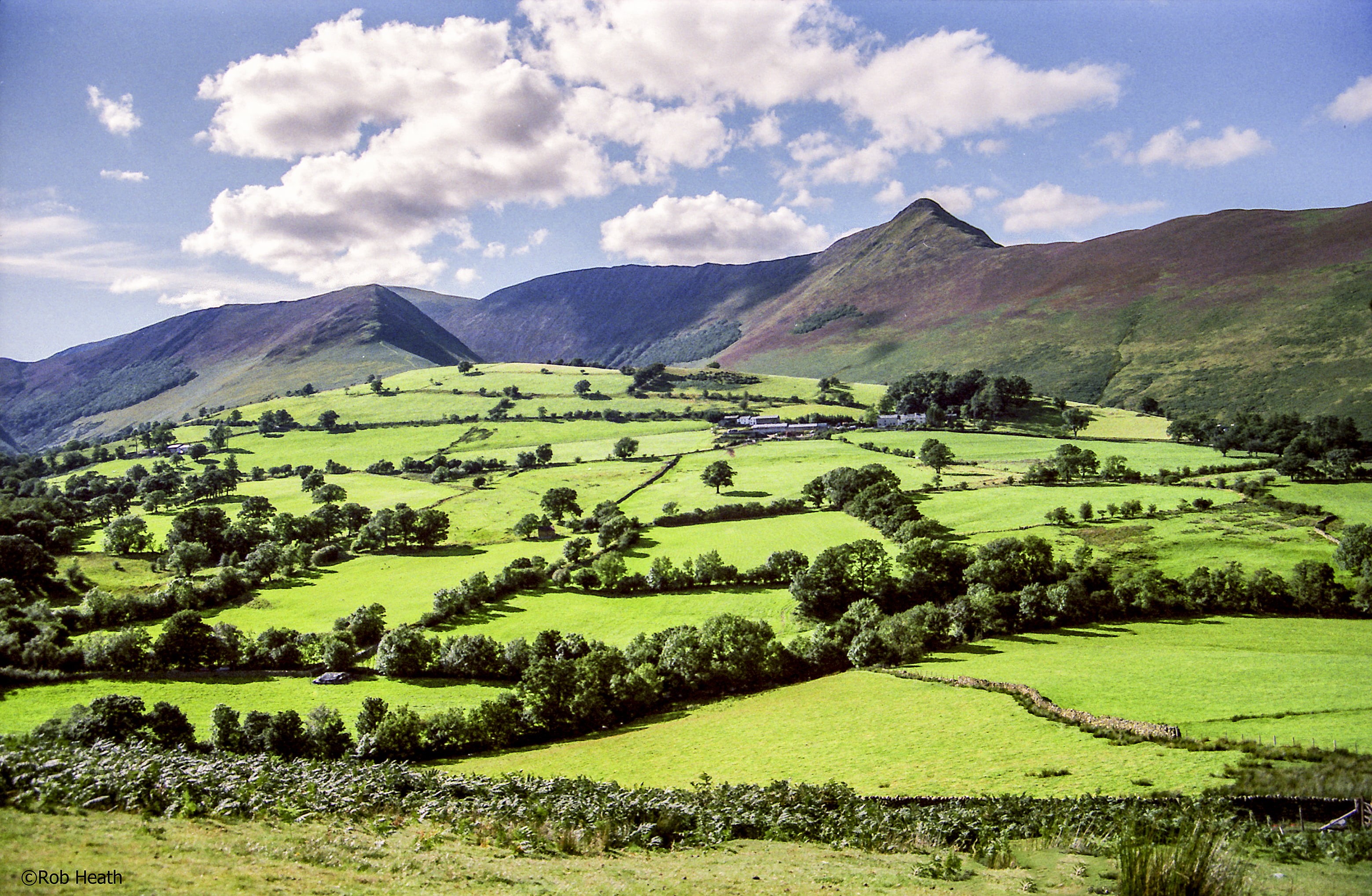 pike, picco, grassland, grass, hill, green Color, Causey Pike, lakeland, landscapes, scenery, Rice Field, field, mountain, spitzen, scenic, picturesque, HD Wallpaper