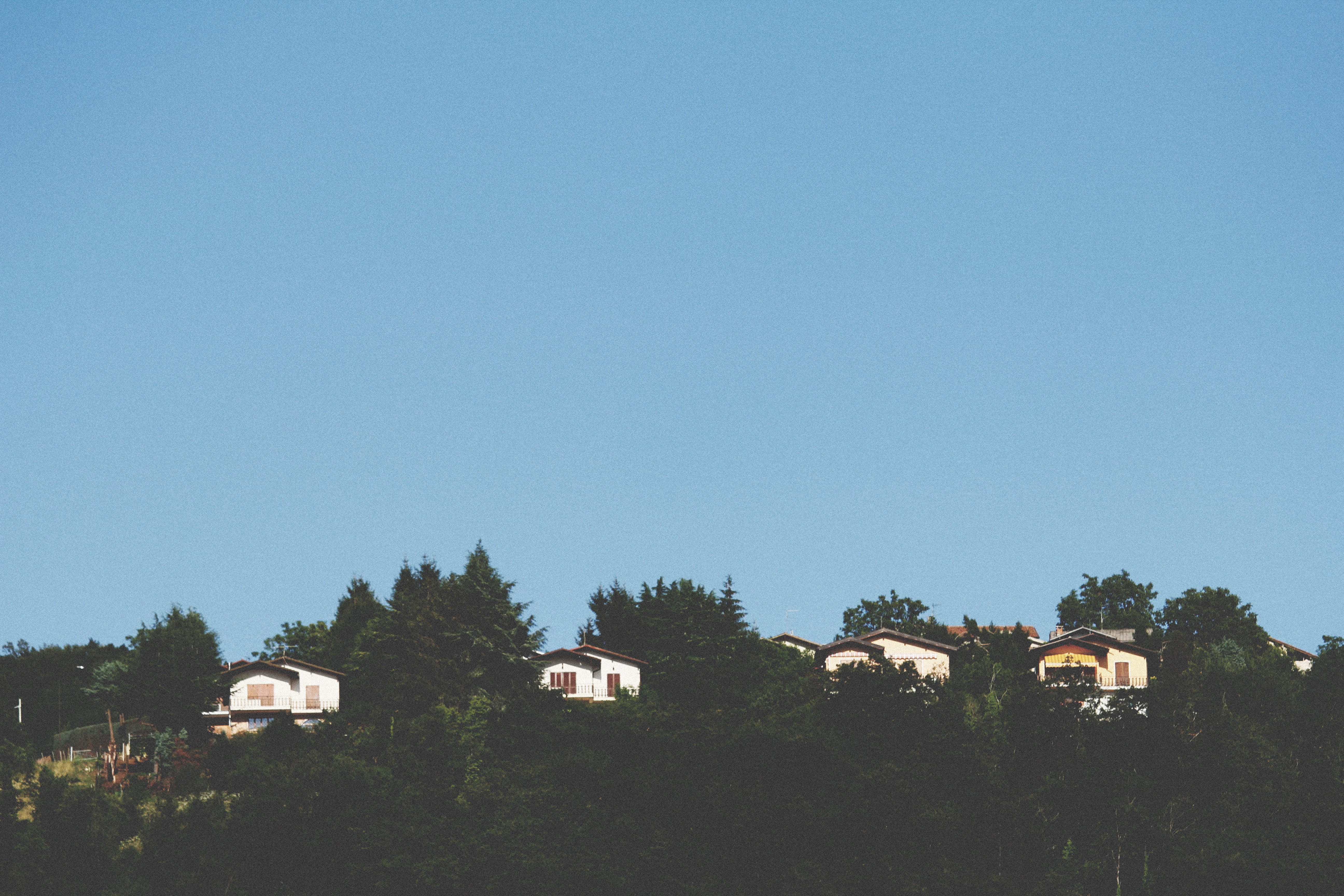 tree, san zeno di montagna, sky, house, built structure, beauty in nature, scenics - nature, copy space, nature, sun, clear sky, outdoors, architecture, HD Wallpaper