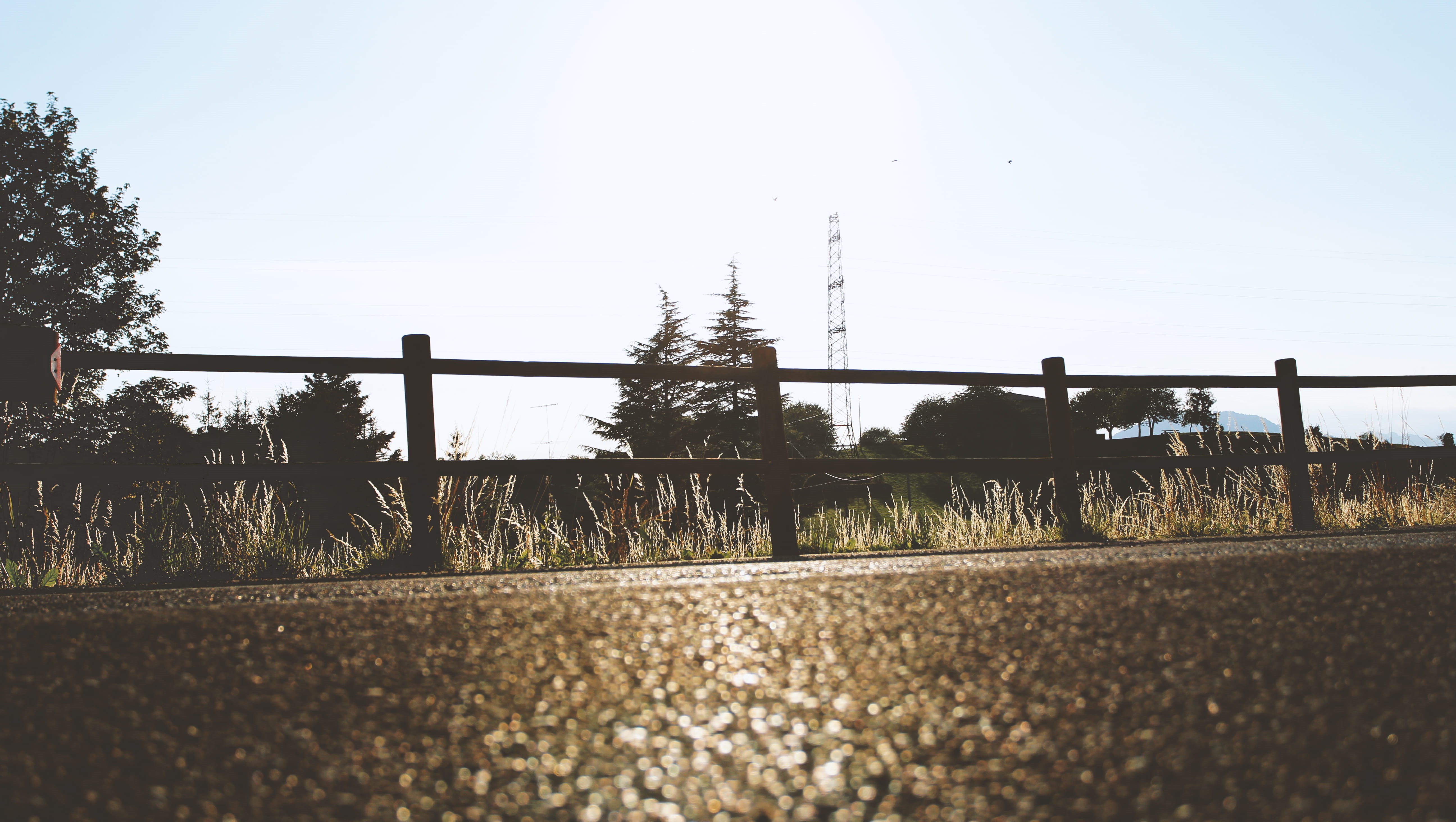 nature, focus on background, fence, tree, barrier, italy, sky, railing, surface level, no people, san zeno di montagna, day, growth, tranquility, plant, HD Wallpaper