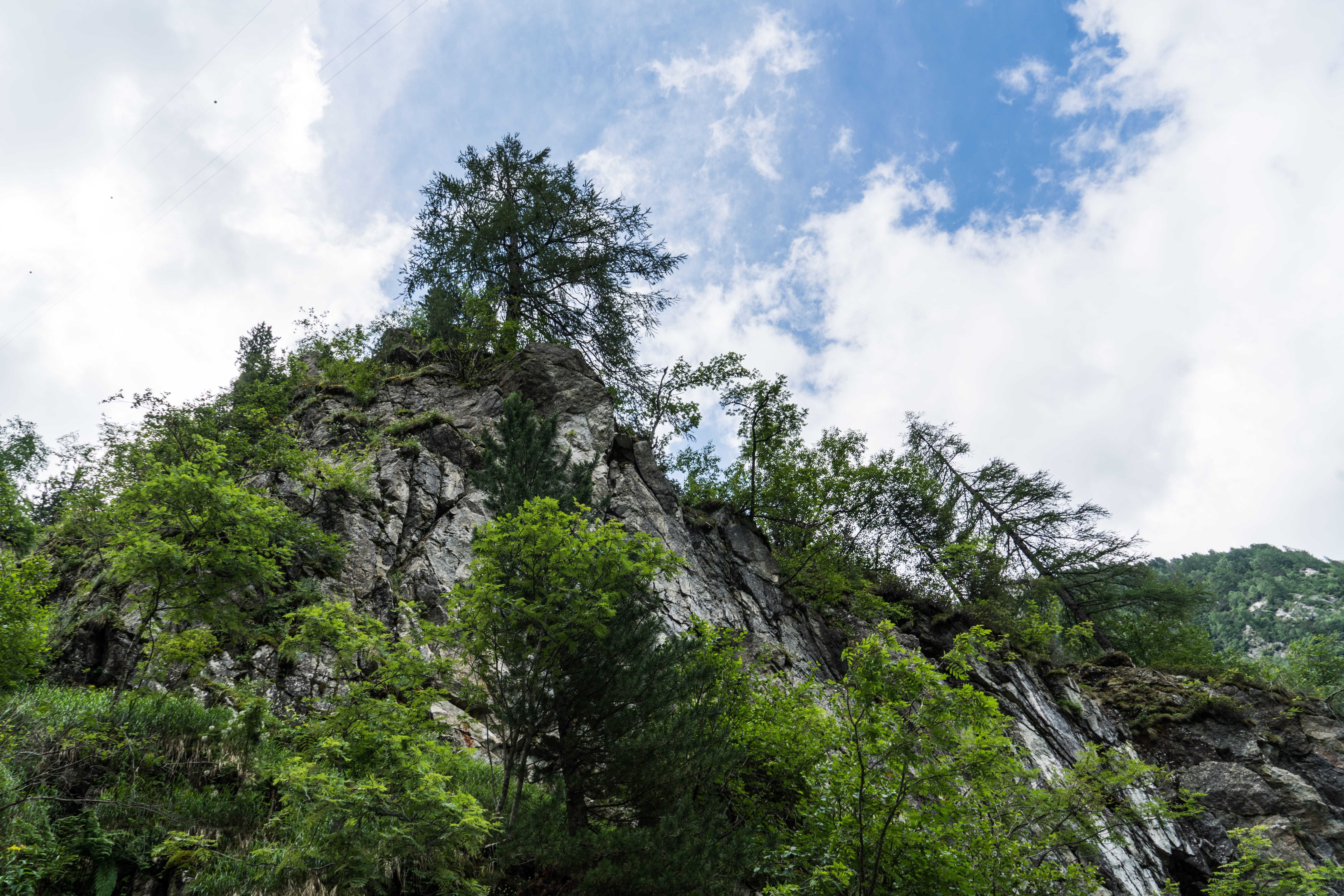 forest, waterfall, foresta, outdoors, pino, tranquil scene, rocce, nature, alberi, low angle view, alps, italy, scenics - nature, pini, adamello, montagna, HD Wallpaper