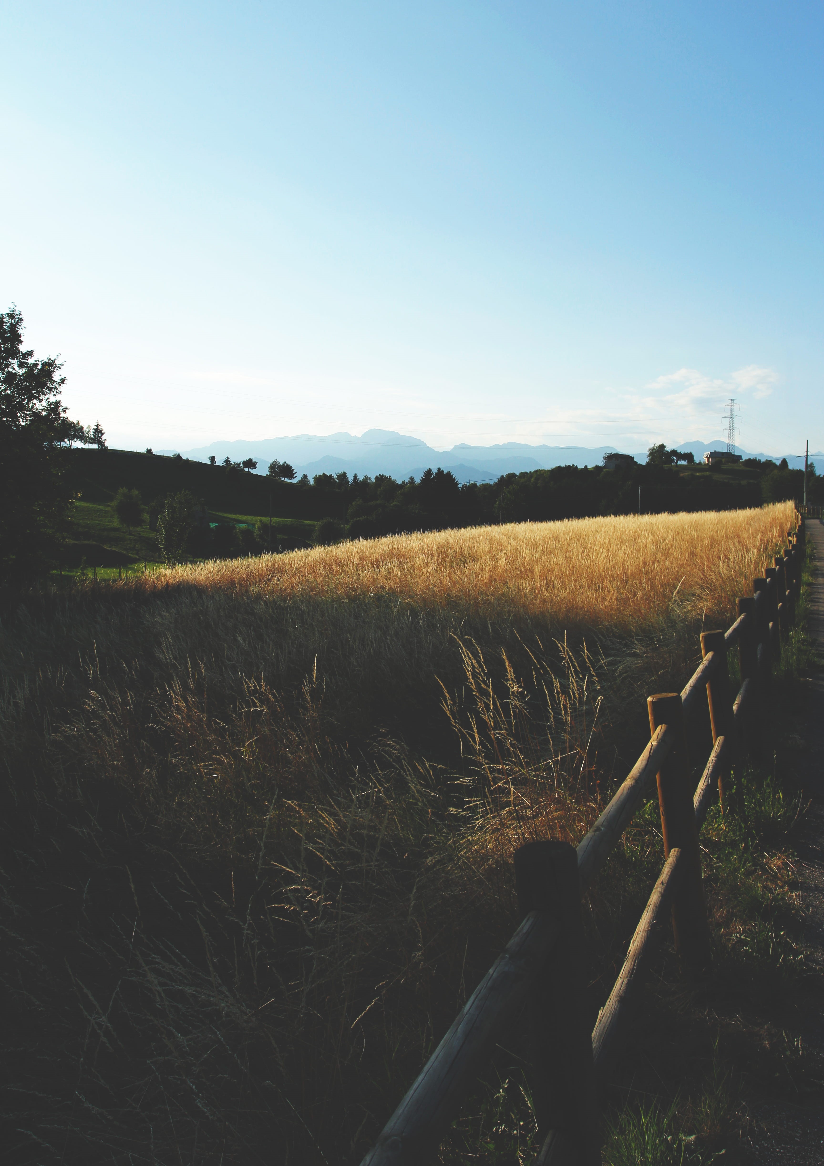 grass, nature, field, plant, san zeno di montagna, mountain, sun, growth, scenics - nature, no people, clear sky, lake, agriculture, land, 4K, landscape, Phone HD Wallpaper