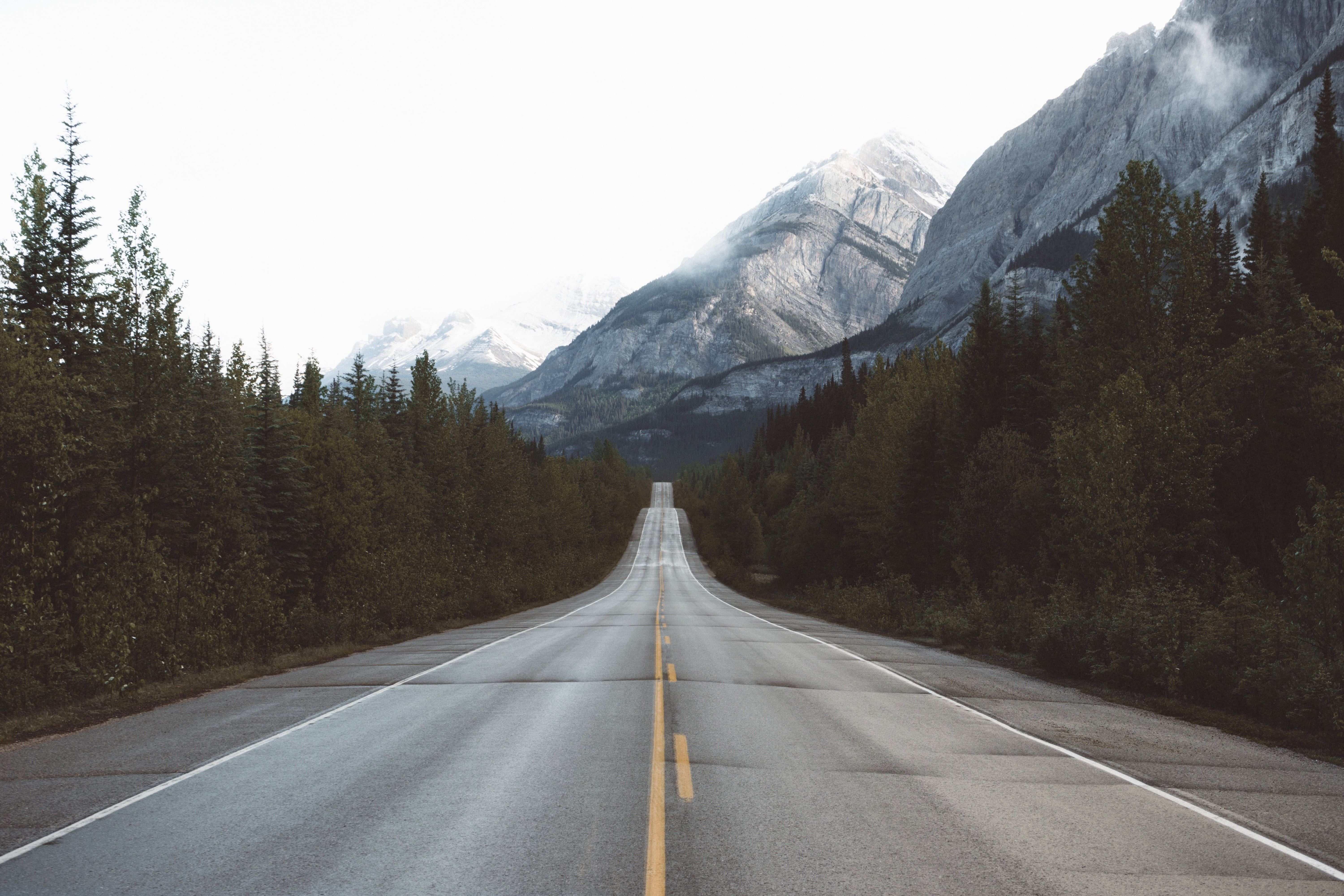 green, empty road, road, scenics, mountains, diminishing perspective, gray, outdoors, tree, front, direction, travel, trees, marking, sky, non-urban scene, HD Wallpaper