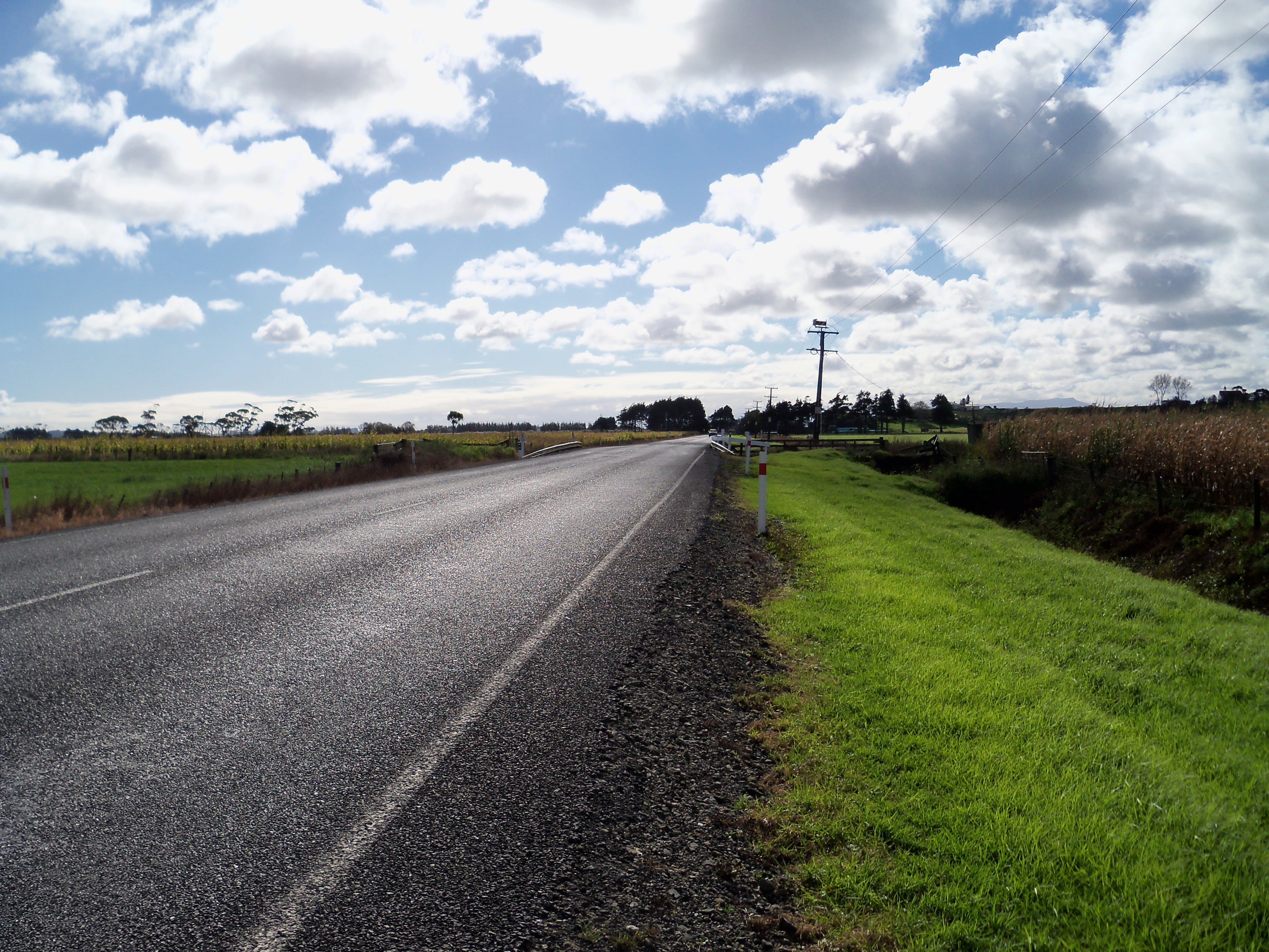 green grass, empty, rural Scene, deserted, nature, journey, road trip, 2K, expressway, cloudy, grass, highway, rural, field, clear, grass  blue, sky  NZ, HD Wallpaper