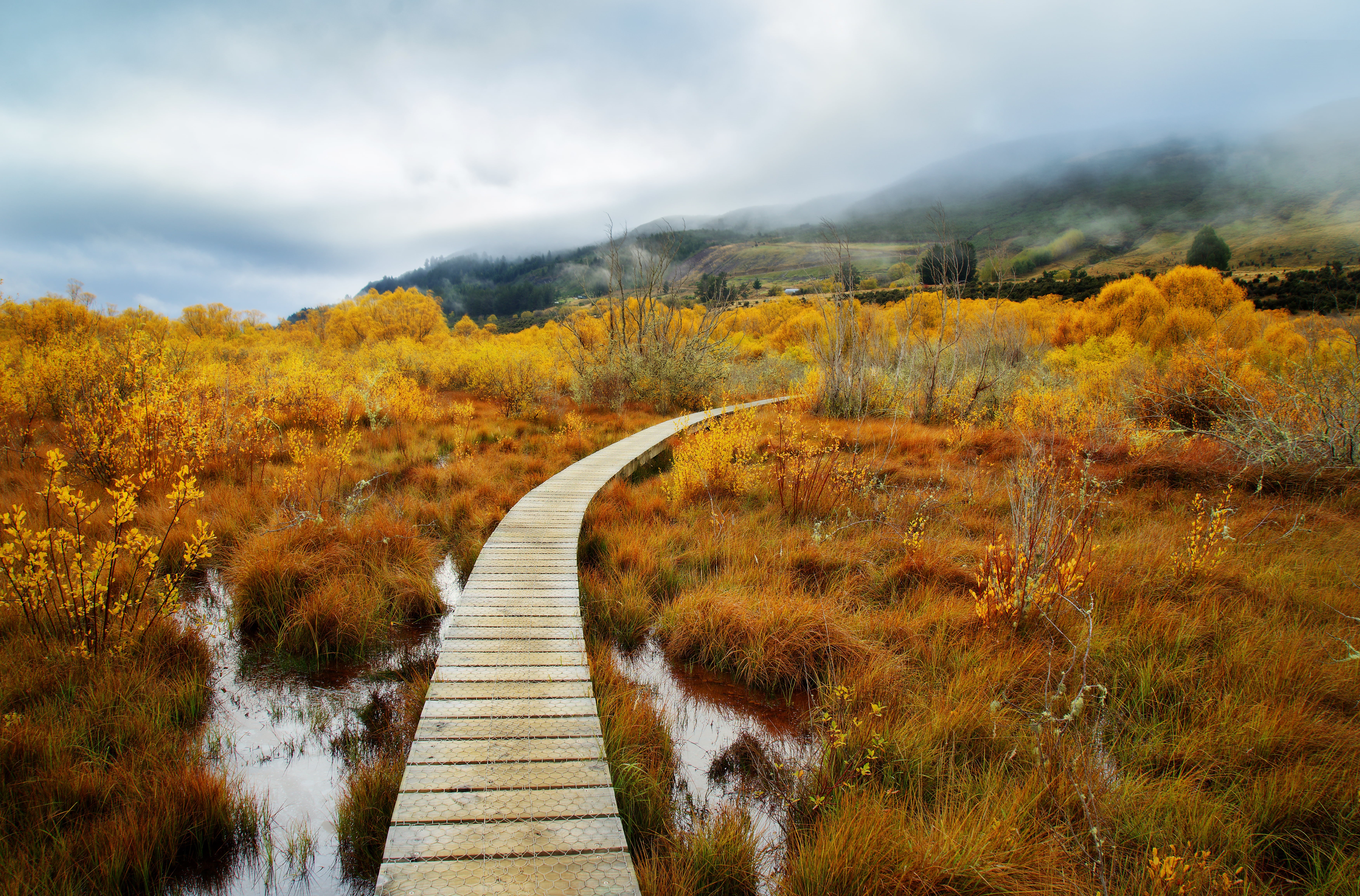 horizontal, stuck, Queenstown, 5K, brown, field, forest, australia, footpath, tutorial, landscape, New Zealand, color, hdr photography, autumn, mountain  path, HD Wallpaper