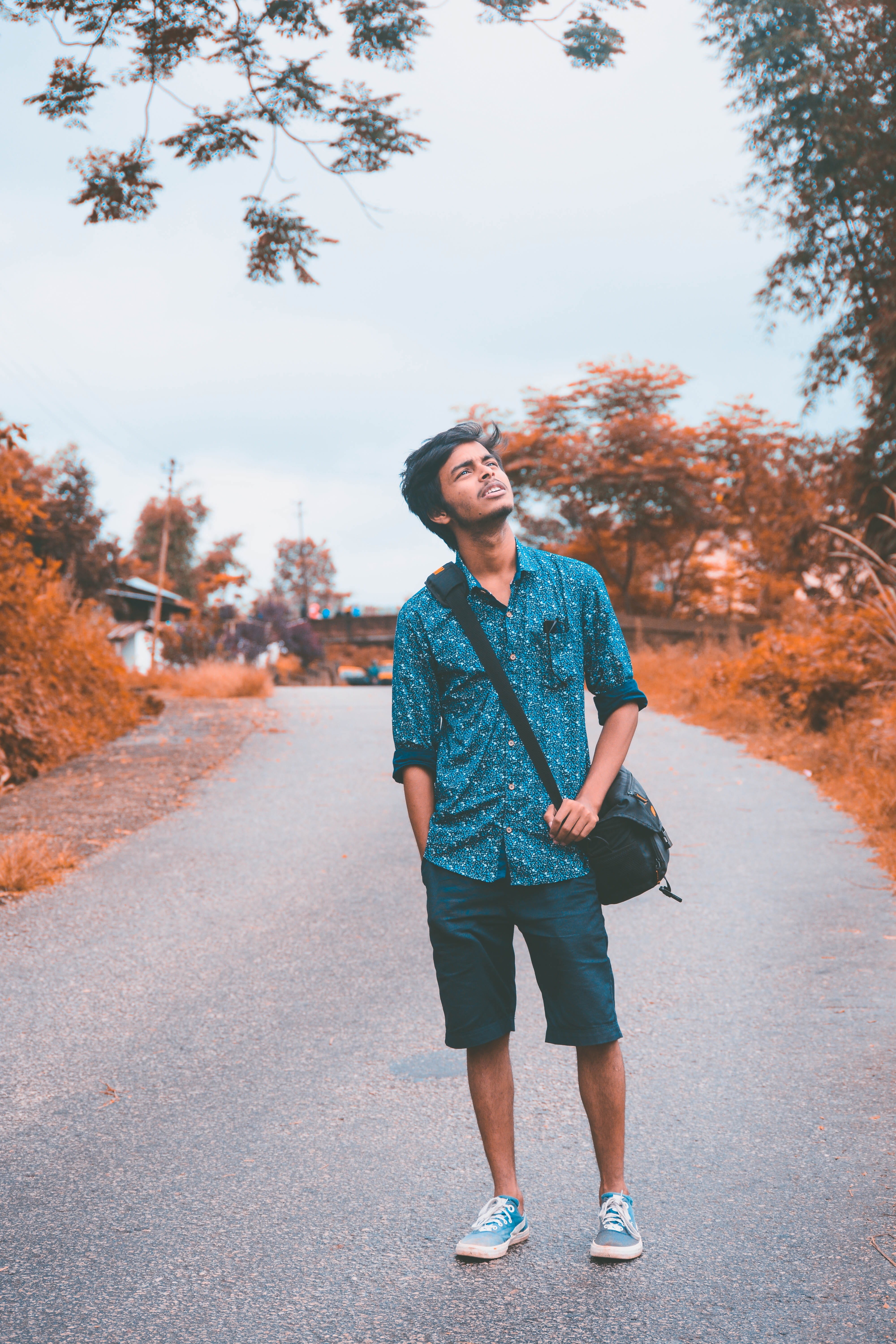 looking, tree, plant, india, transportation, outdoors, direction, boy, young adult, 5K, front view, the way forward, shillong, nature, one person, assam, Phone HD Wallpaper
