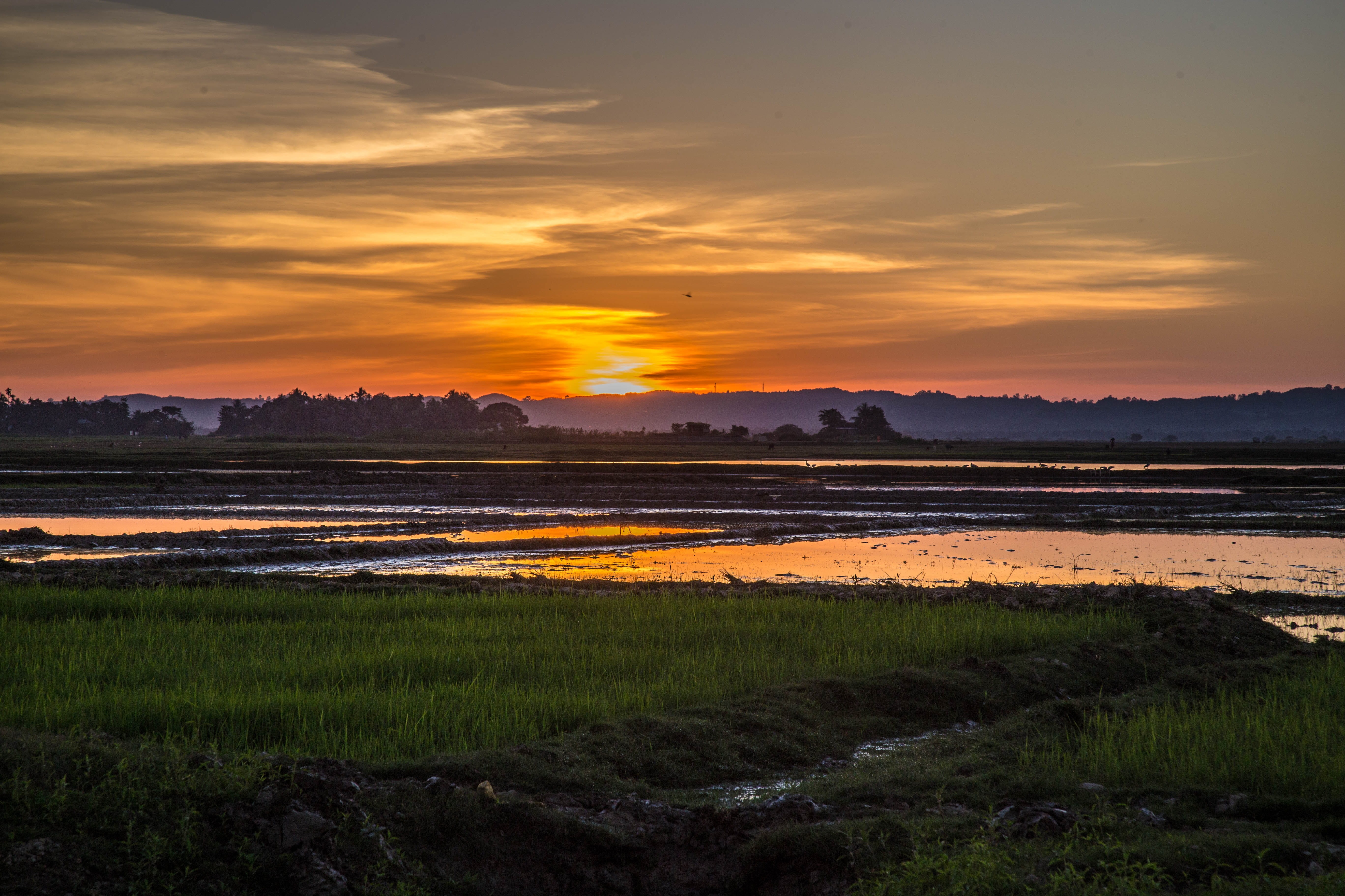 outdoors, cloud - sky, rural scene, lake, 5K, sunset, scenics - nature, landscape, water, tranquil scene, assam, beauty in nature, orange color, no people, HD Wallpaper