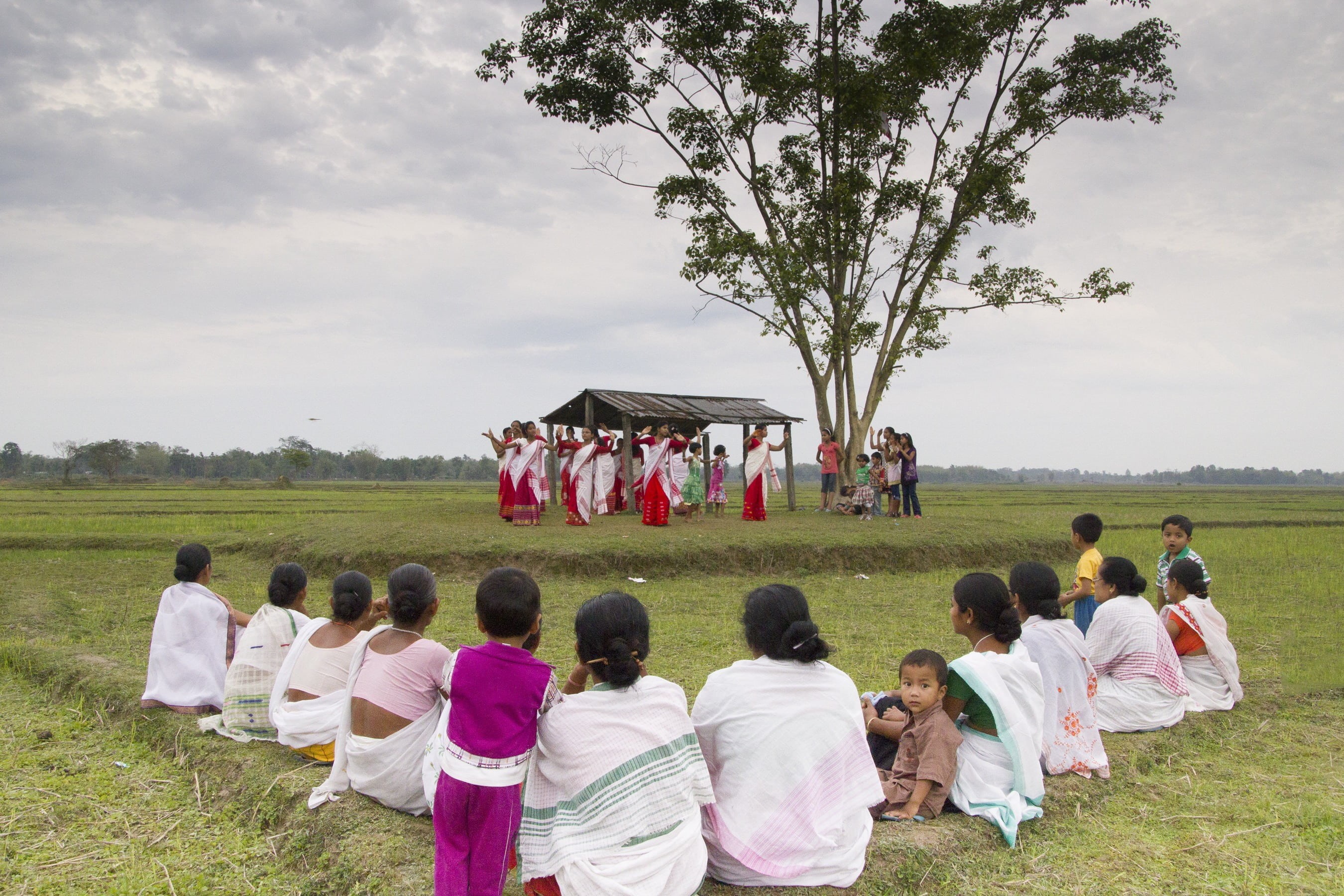 women, day, leisure activity, lifestyles, large group of people, men, togetherness, outdoors, real people, assam, field, nature, dance, india, travel, land, HD Wallpaper