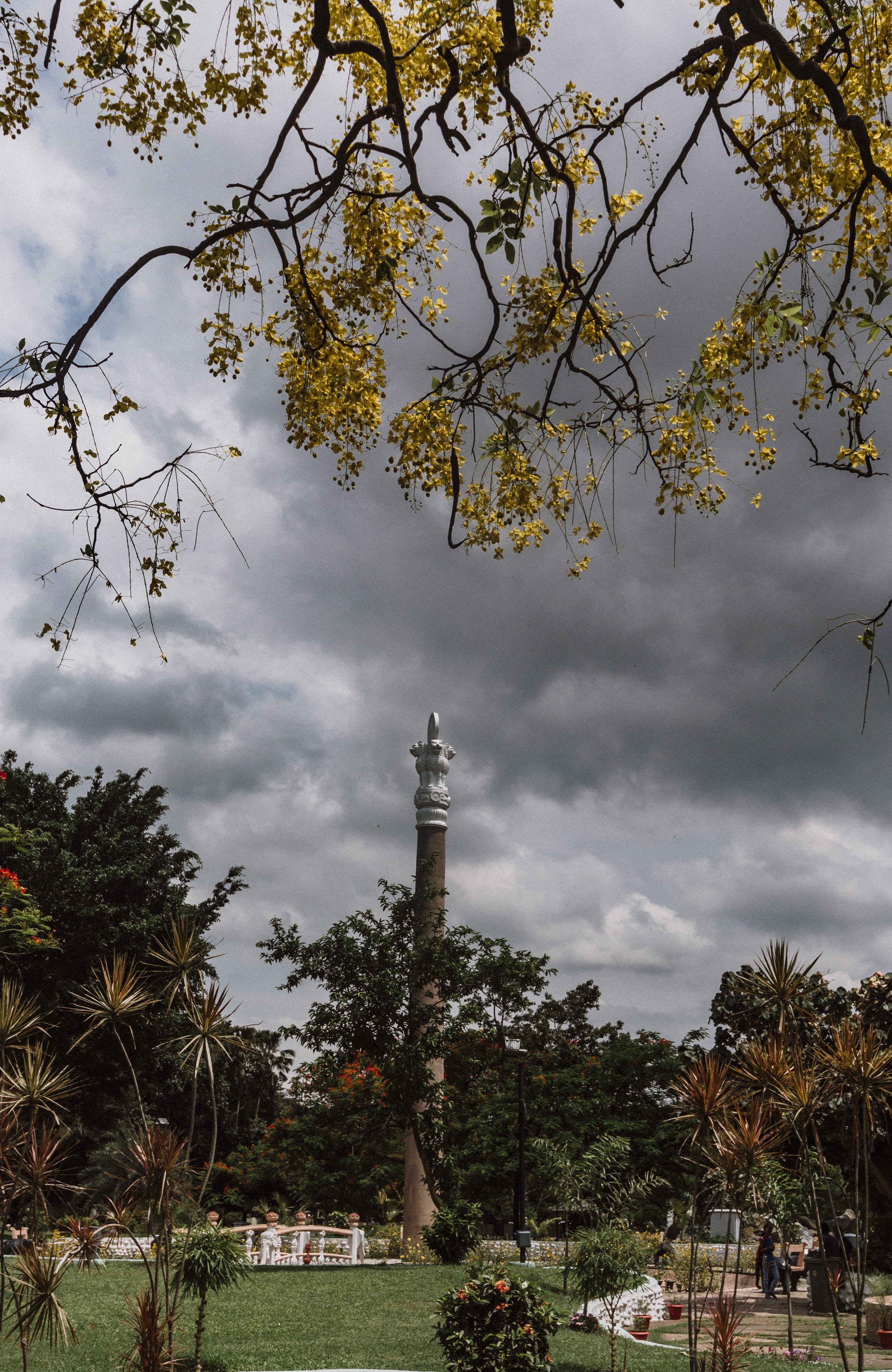 rain, storm, branch, trees, sky, architecture, travel destinations, tree, tower, building exterior, no people, cloud - sky, guwahati, india, outdoors, low angle view, Phone HD Wallpaper