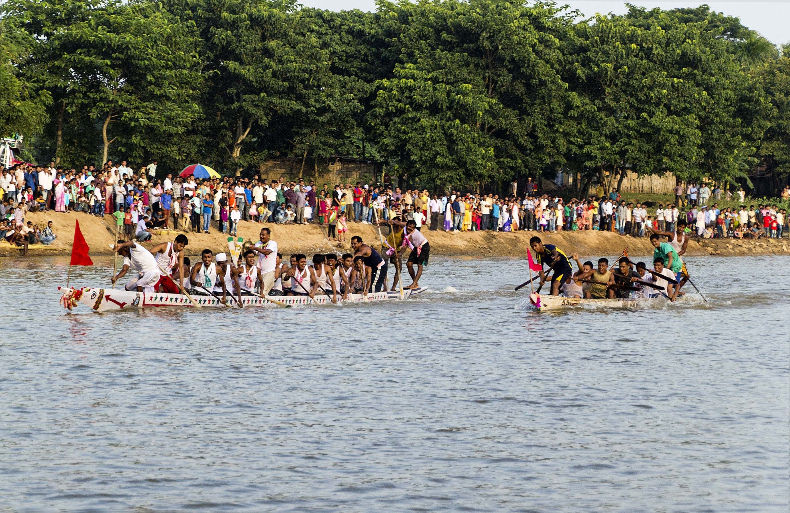 festival, group of people, nautical vessel, assam, nature, river, day, real people, crowd, women, plant, lifestyles, tradition, tree, waterfront, fishing boat, HD Wallpaper