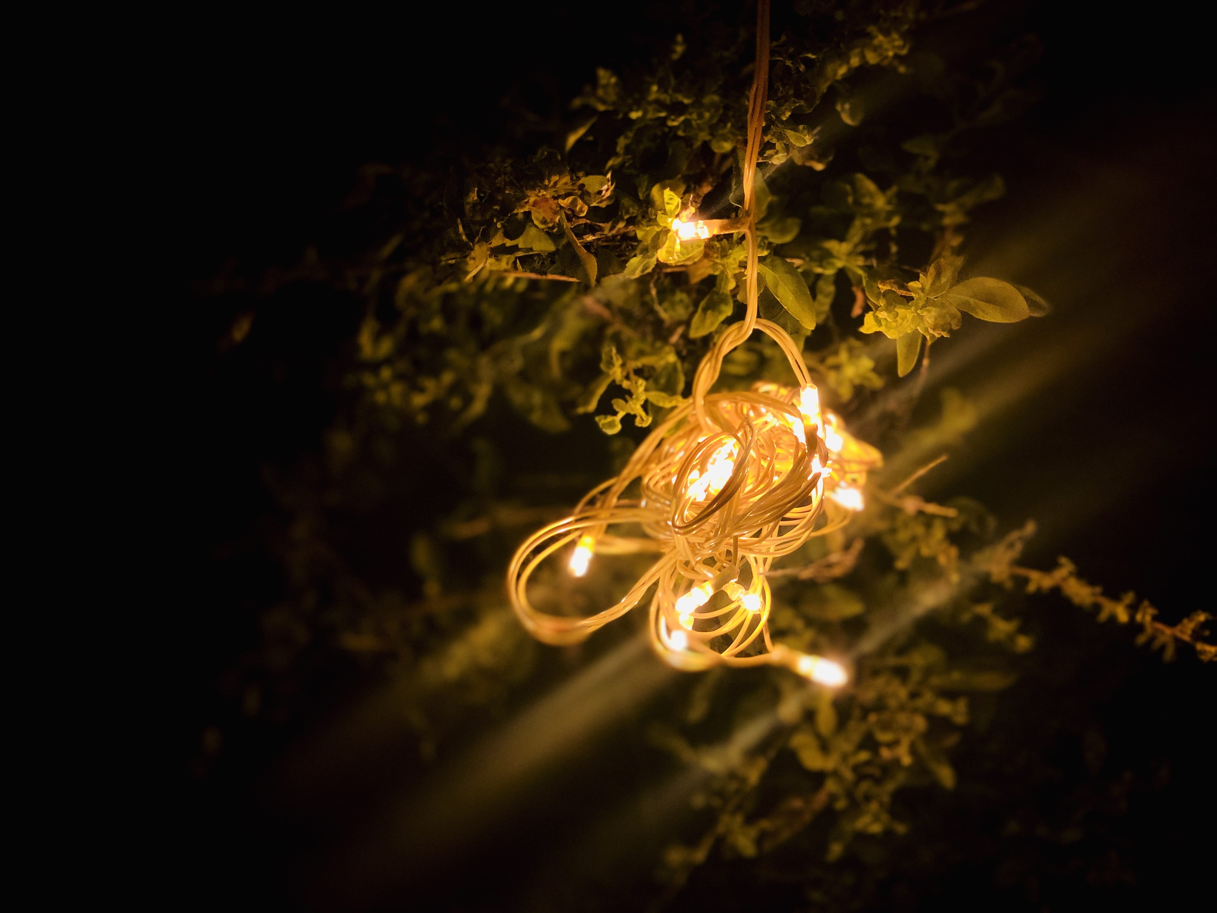 dark, light, electric light, lighting equipment, unsplash, guwahati, nature, gold colored, 4K, no people, hanging, decoration, travel, orange, christmas, HD Wallpaper