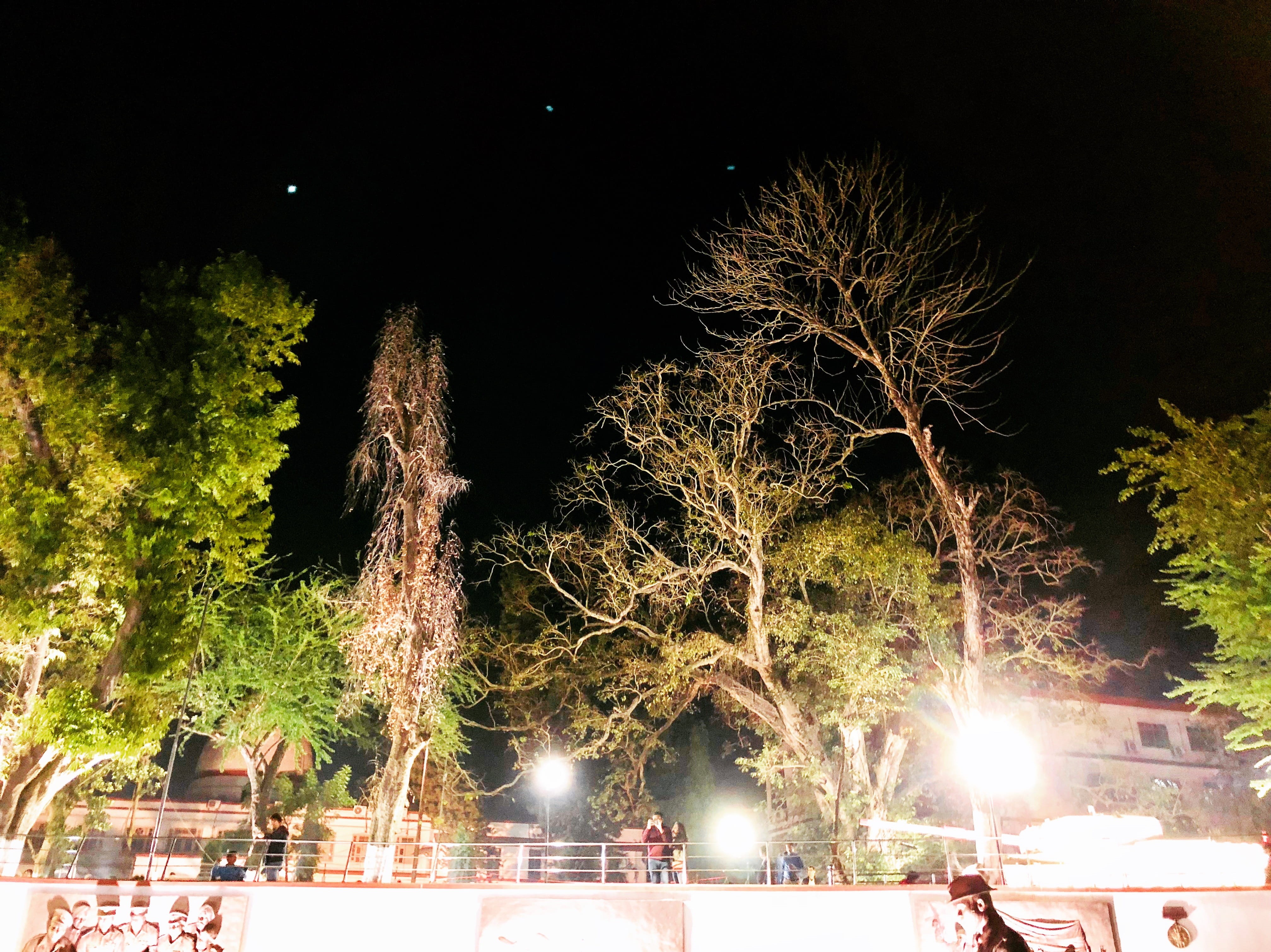 arts culture and entertainment, plant, india, lights, nature, firework display, architecture, night, light, sky, lens flare, trees, illuminated, night time, HD Wallpaper