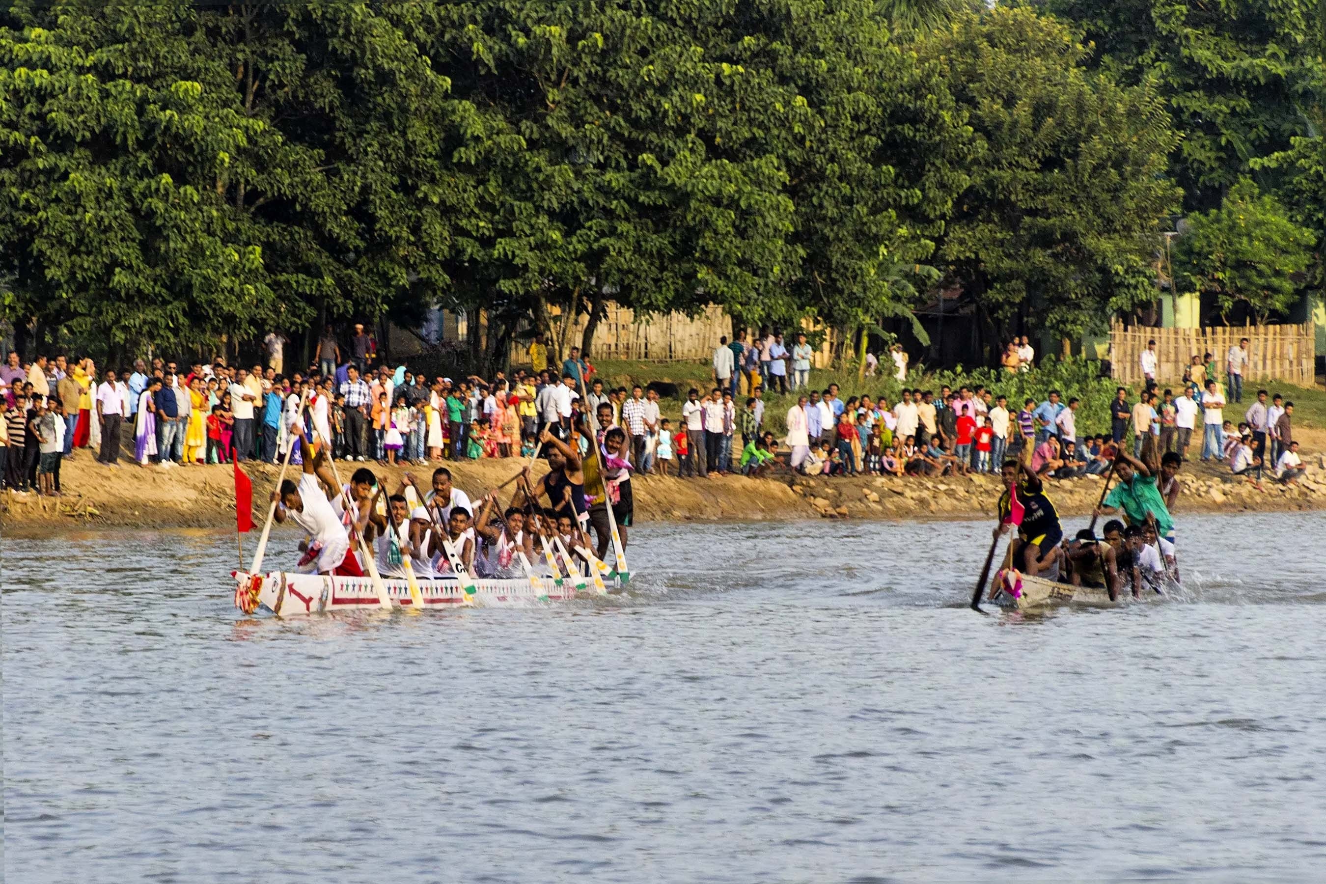 tree, plant, waterfront, leisure activity, lifestyles, enjoyment, transportation, real people, day, 2K, india, men, rowing boat, assam, women, sport, group of people, HD Wallpaper