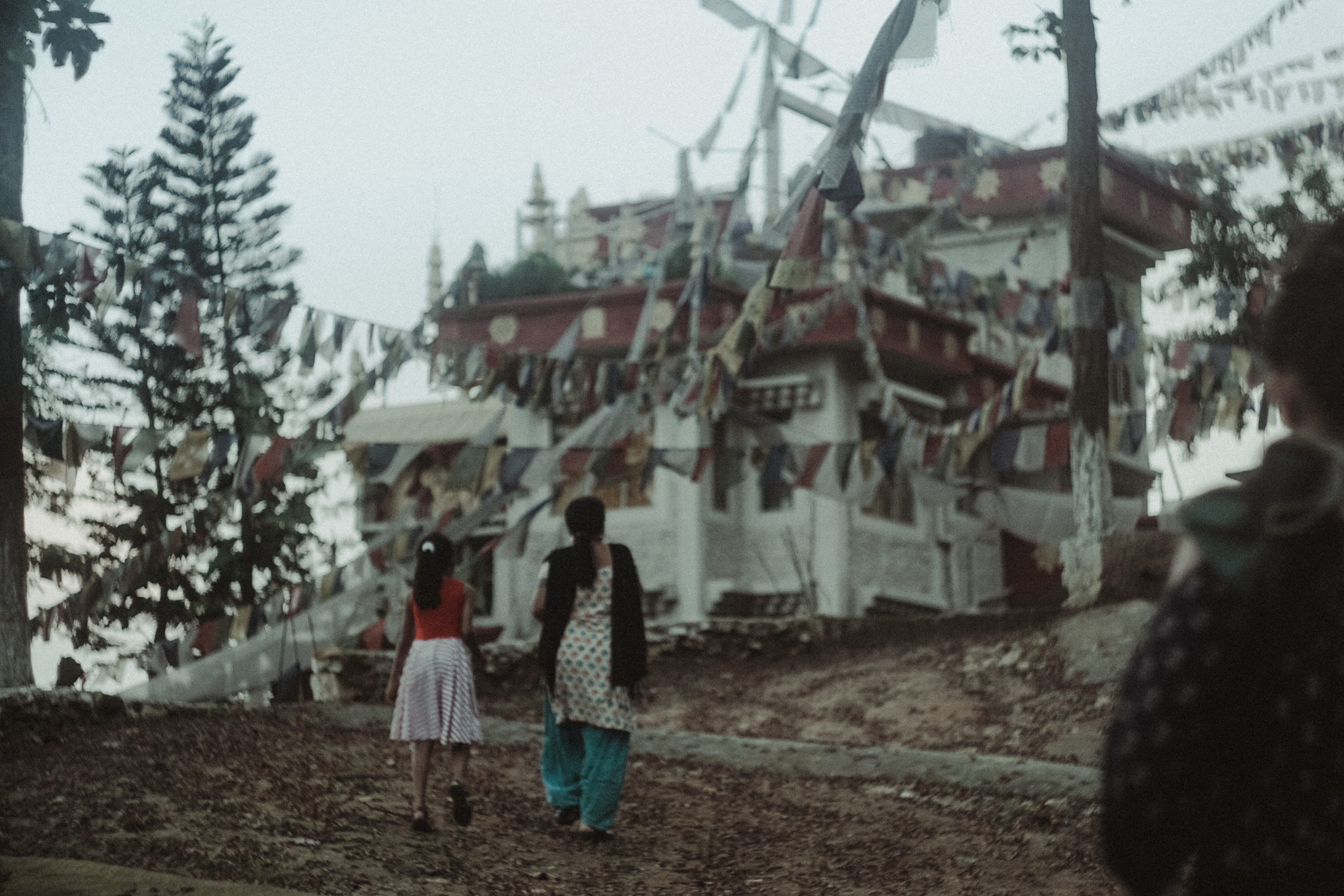 women, tree, guwahati, group of people, trees, clothing, india, monastery, adult, assamese, real people, outdoors, walking, full length, temple, day, hills, HD Wallpaper