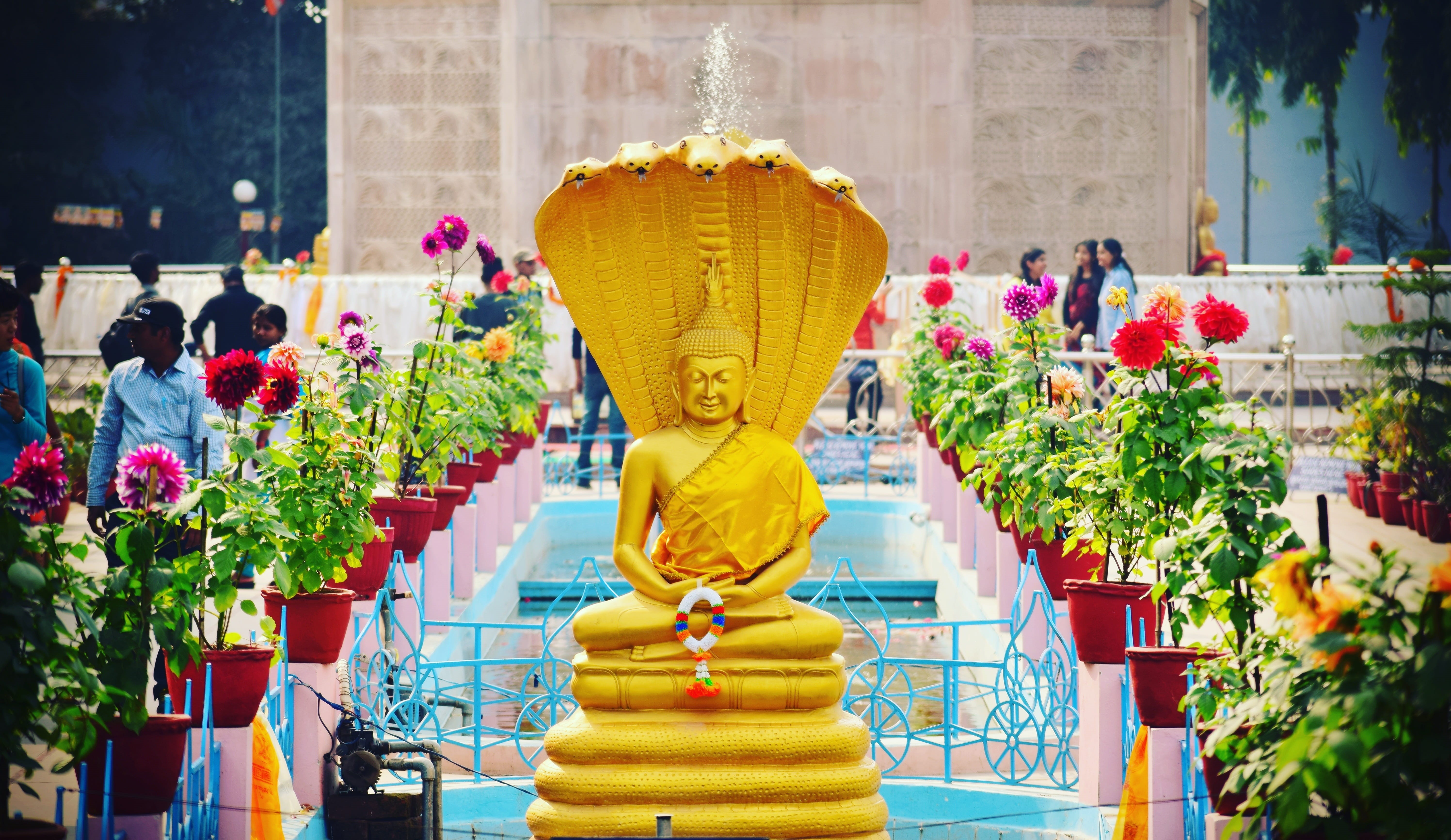 creativity, sacred, religion, buddha, idol, spirituality, no people, representation, statue, sculpture, 5K, varanasi, flowering plant, belief, human representation, HD Wallpaper