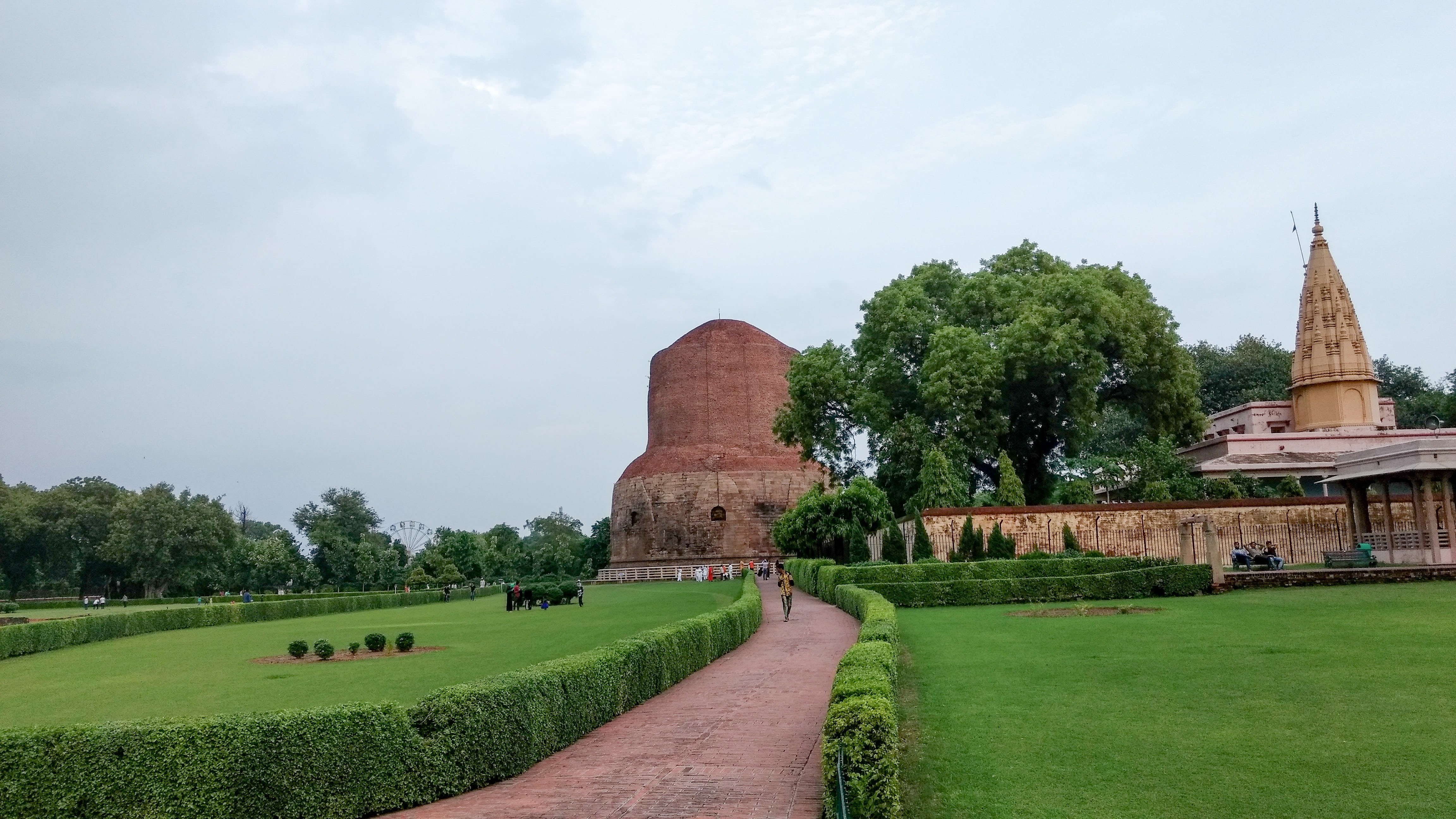 4K, tree, travel destinations, nature, ancient, history, famous Place, the past, place of worship, cultures, outdoors, buddhism, no people, dharma, religion, HD Wallpaper