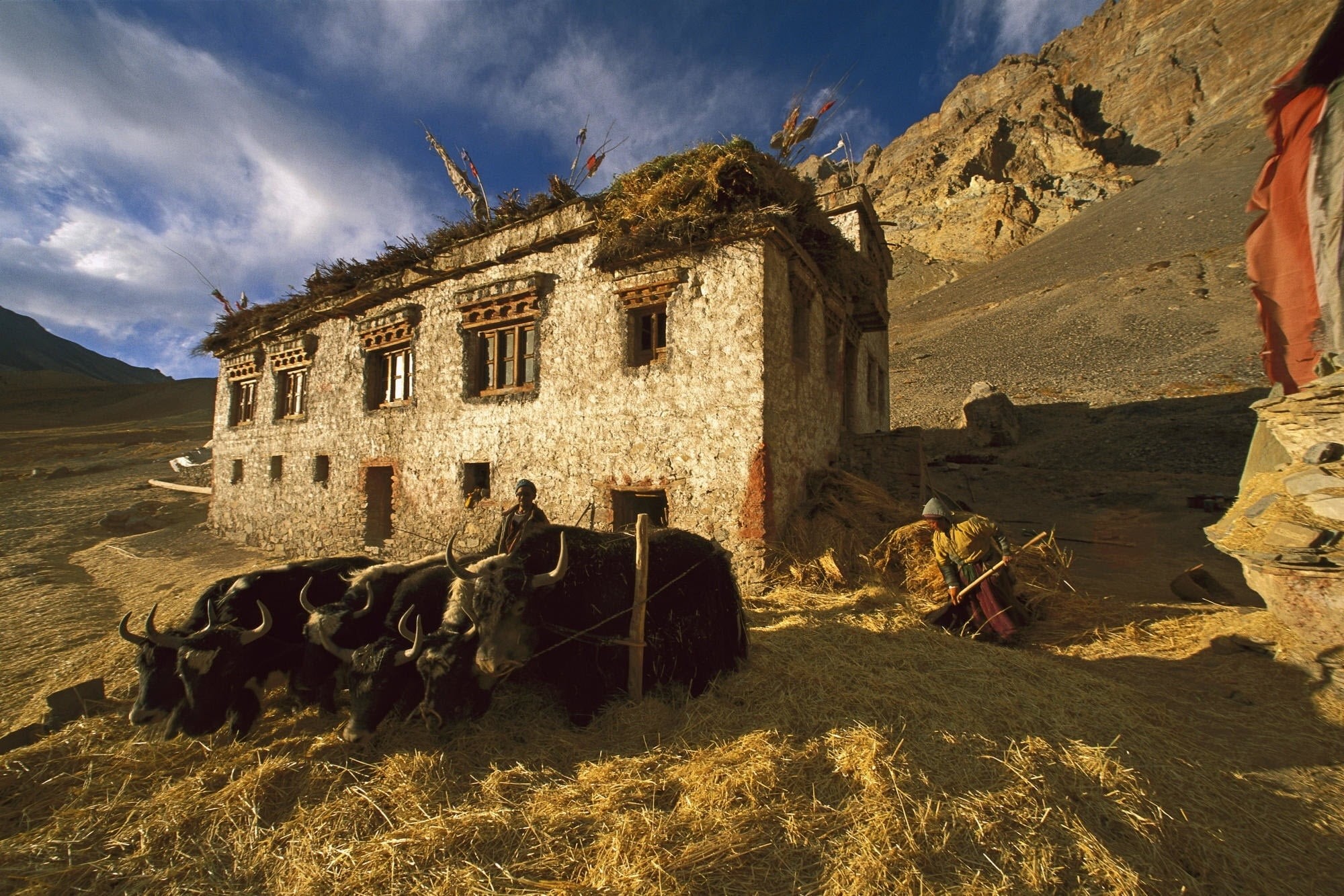 history, tibetan Culture, 1080P, no people, famous Place, brown, building, building exterior, outdoors, sky, leh Village, himalayas, hill, religion, buddhism, HD Wallpaper