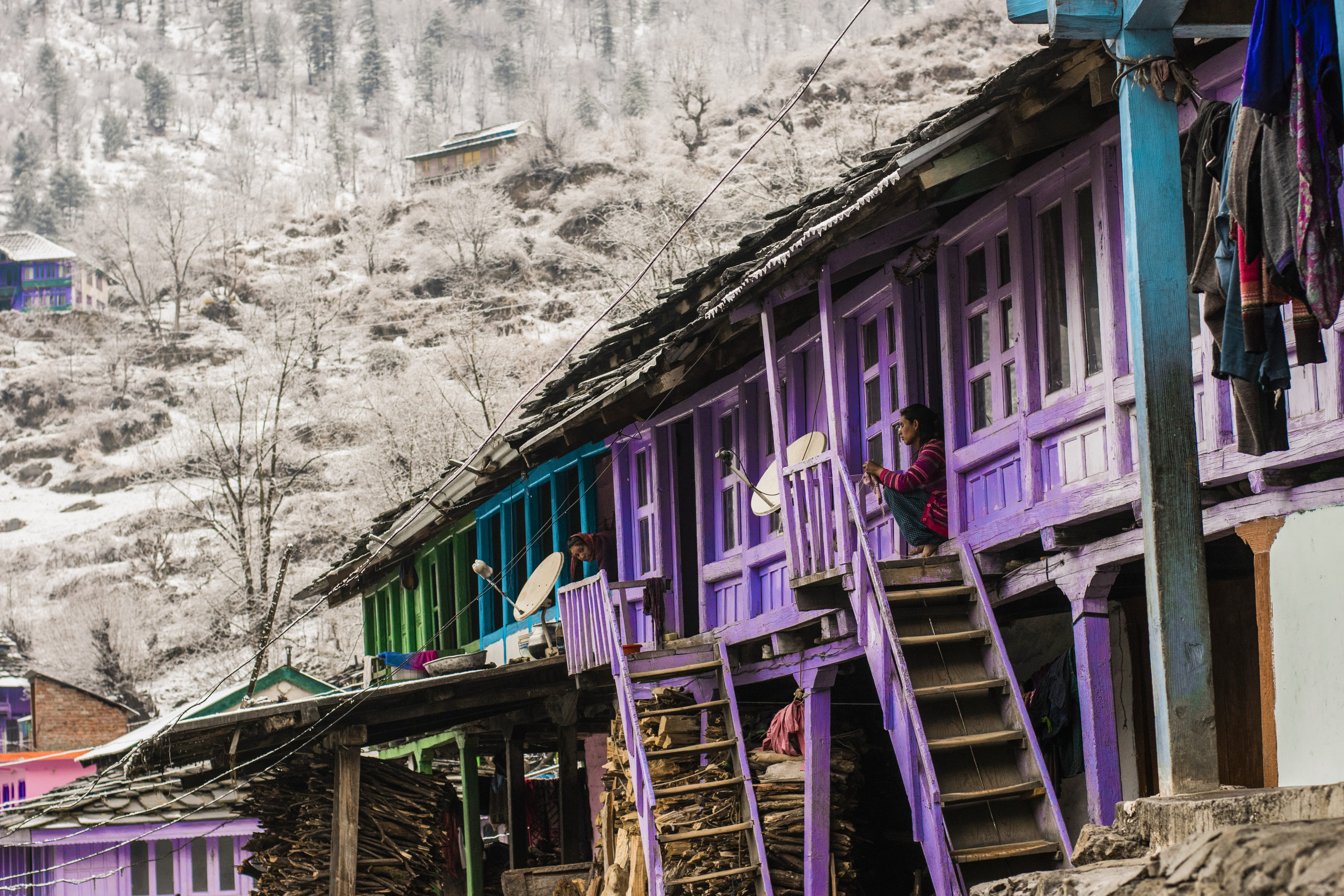 plant, multi colored, architecture, old, himalayas, window, outdoors, building exterior, foothills of himalayas, built structure, himachal pradesh, snowfall, HD Wallpaper