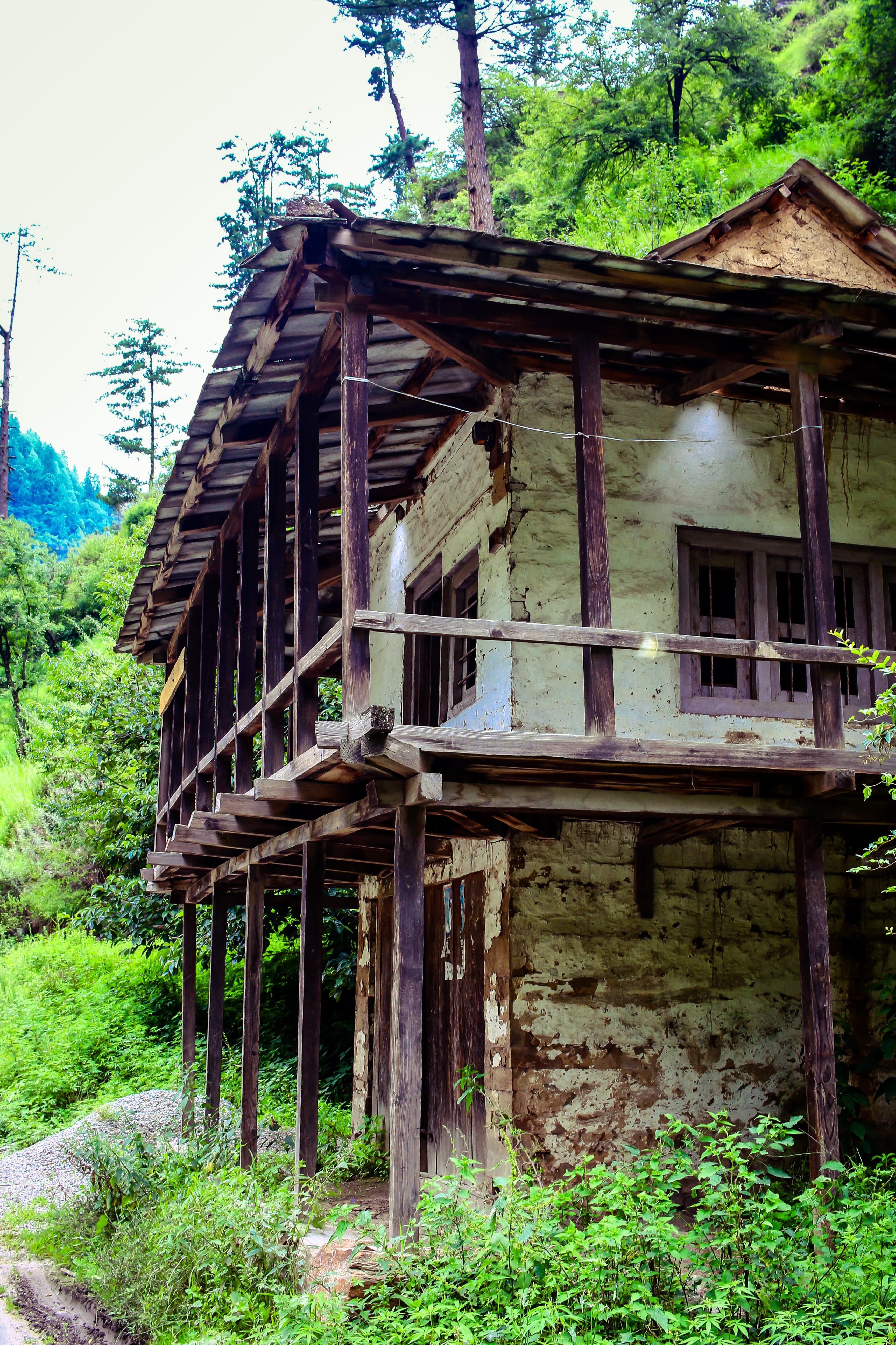 growth, building exterior, day, himachal pradesh, building, 5K, mountains, wood - material, land, house, vintage, no people, abandoned, old, india, built structure, Phone HD Wallpaper