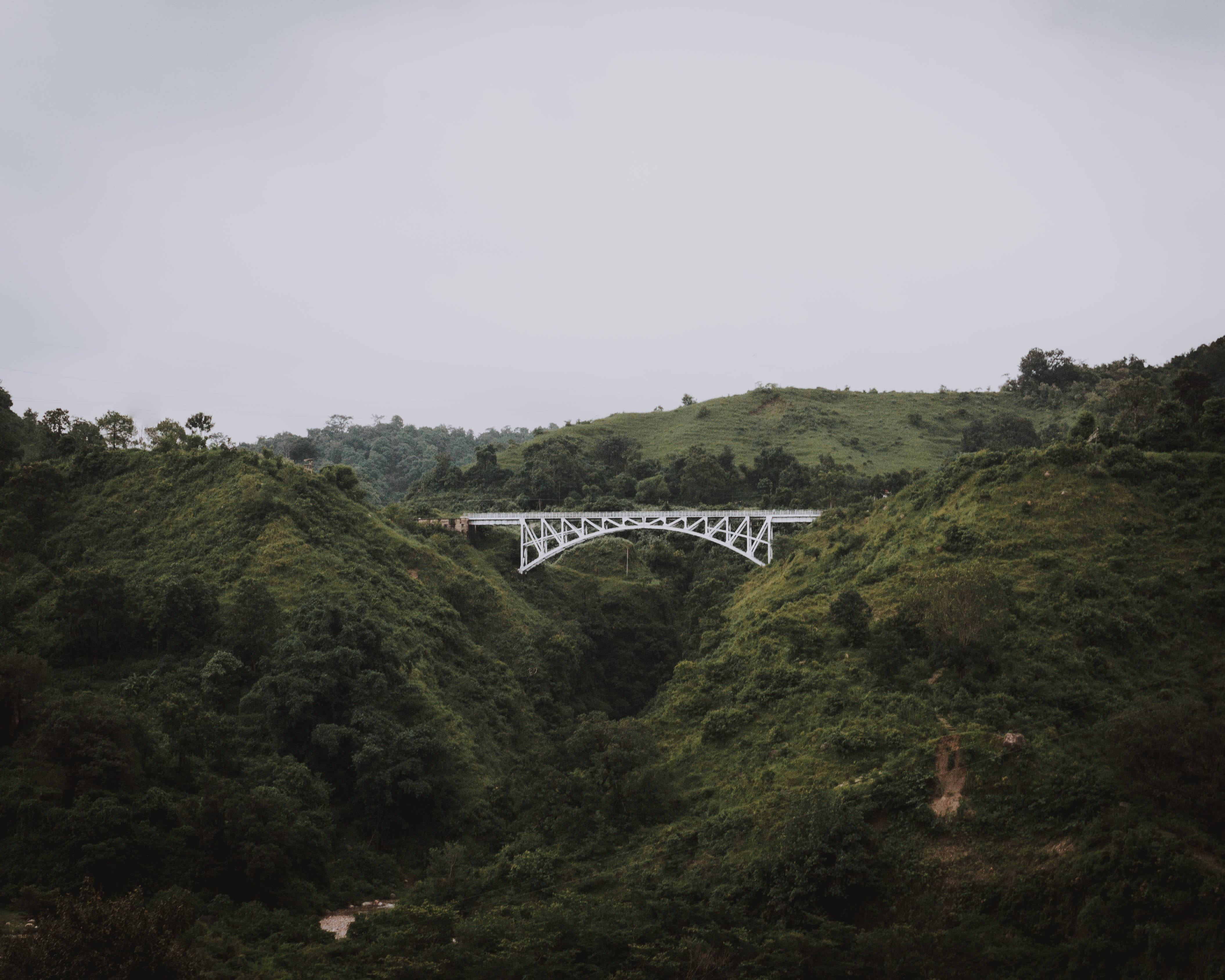 plant, river, built structure, bridge - man made structure, nature, transportation, green color, forest, scenics - nature, land, india, green, architecture, HD Wallpaper