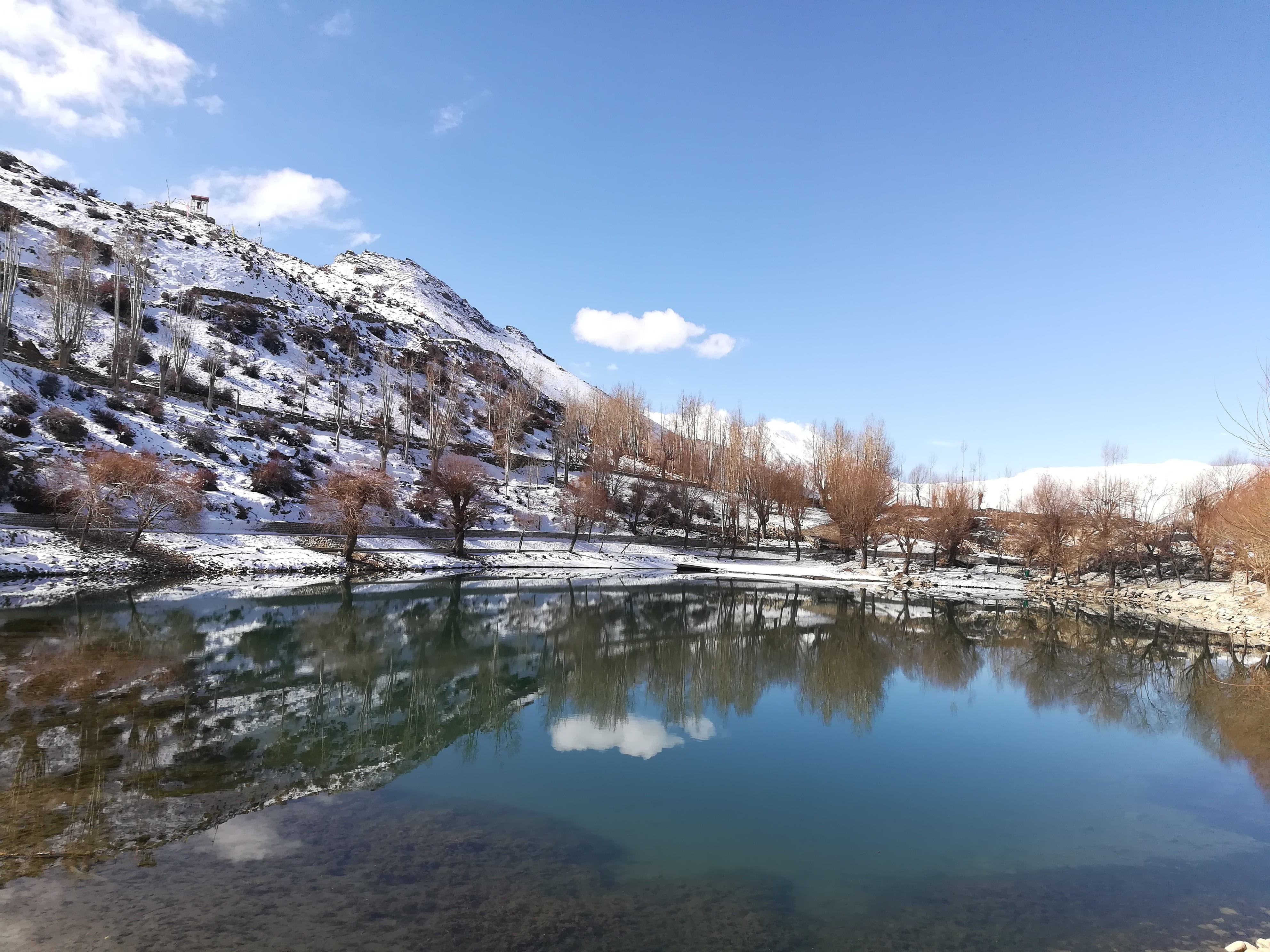 himalayas, travel, tree, spiti, outdoor, mountain, tranquility, tranquil scene, valley, outdoors, winter, snow, lake, nako, reflection, plant, himalaya, HD Wallpaper