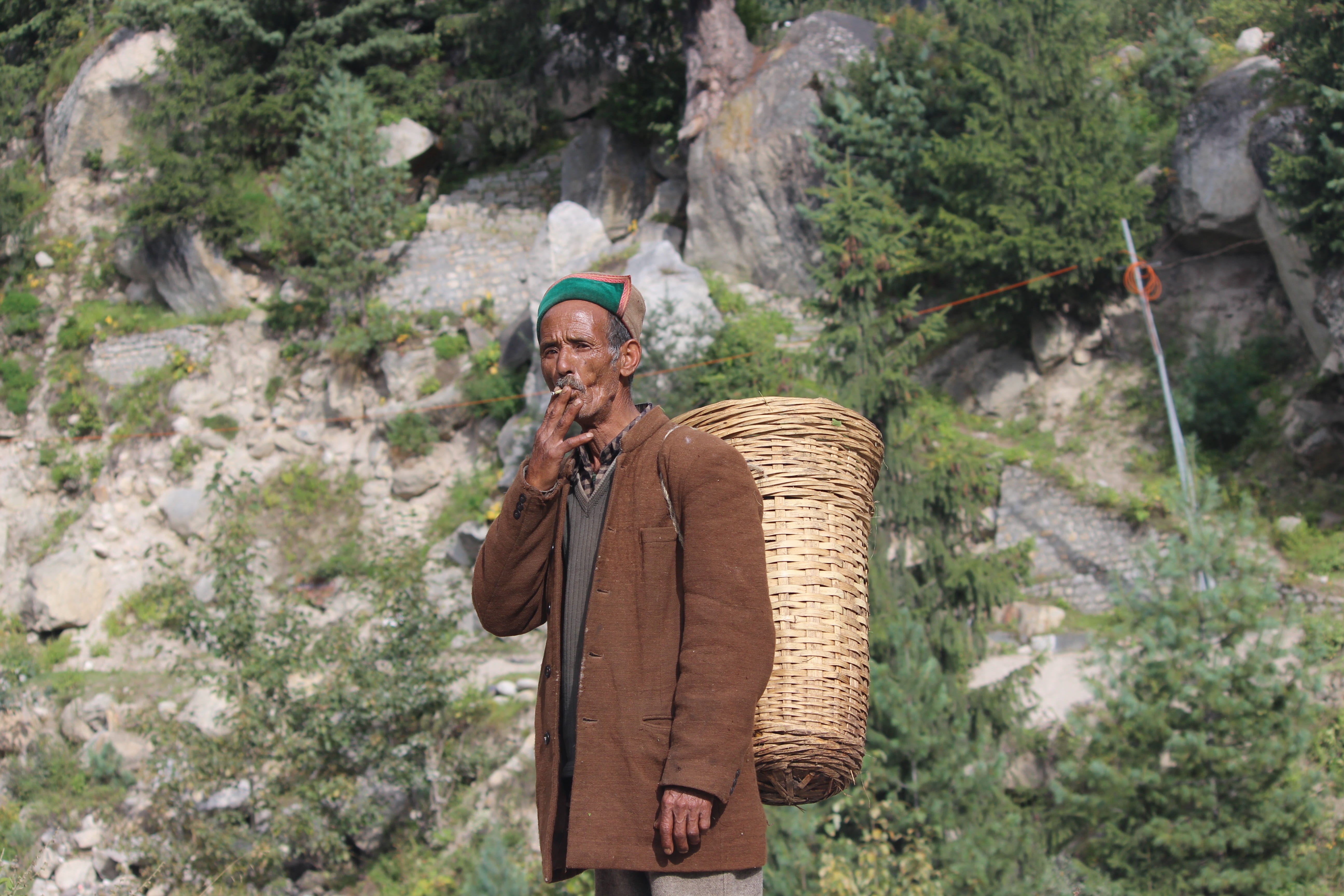 vacation, holiday, adventure, clothing, travel, lifestyles, the highway riders, plant, holding, 5K, people, looking, rock, looking away, front view, spiti, HD Wallpaper