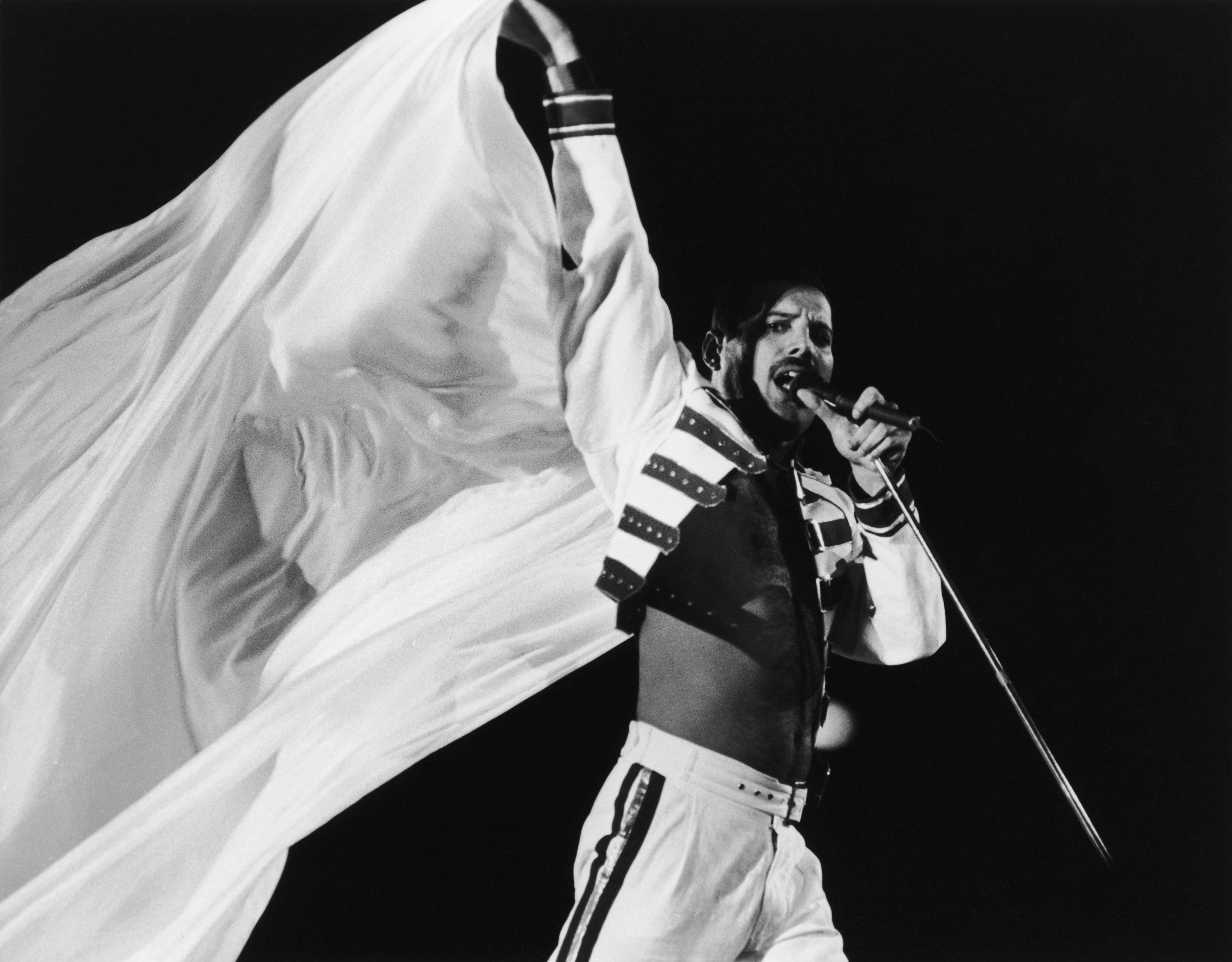 Freddie Mercury, Music, Queen (Band), 4K, HD Wallpaper