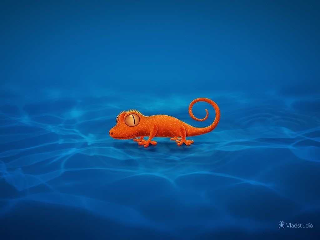480P, Vladstudio, HD Wallpaper