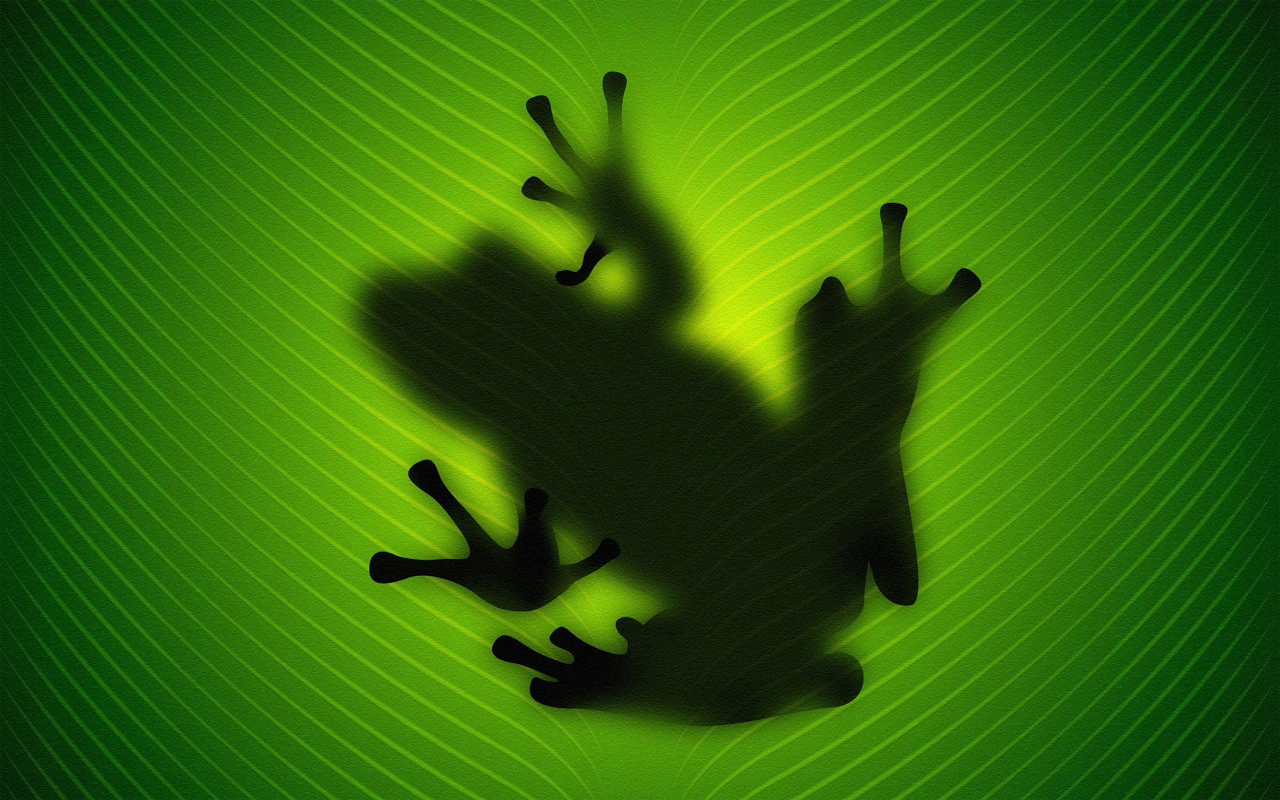 green color, animals, freshness, backgrounds, plant part, amphibian, 2K, close-up, nature, green, leaf, leaves, abstract, colored background, frog, aggression, HD Wallpaper