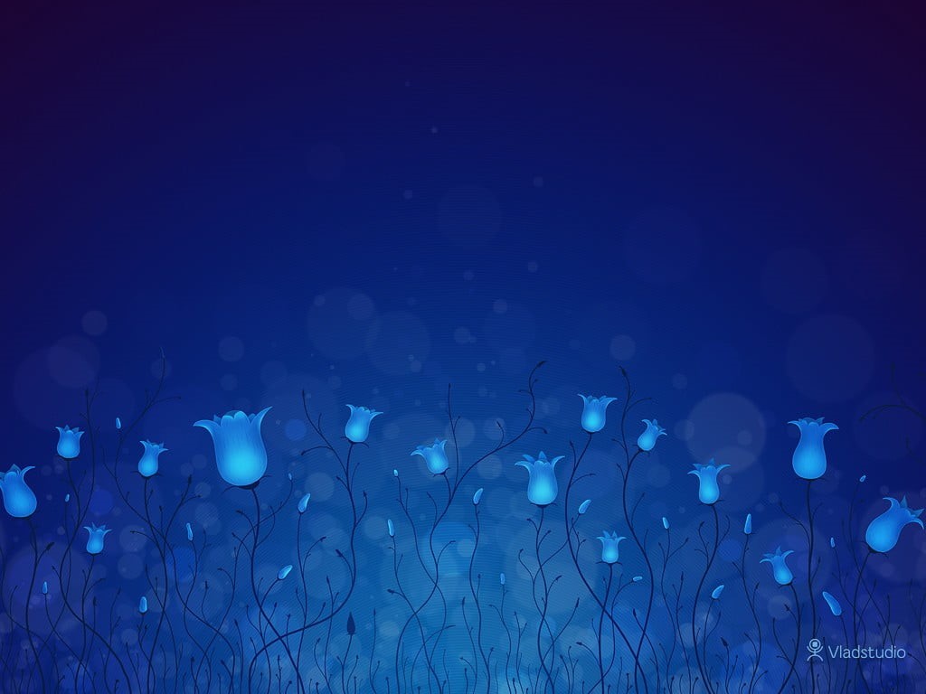 shape, 480P, transparent, water, abstract, Vladstudio, graphic, light - natural phenomenon, lighted, lighting equipment, no people, flowers, rain, nature, HD Wallpaper