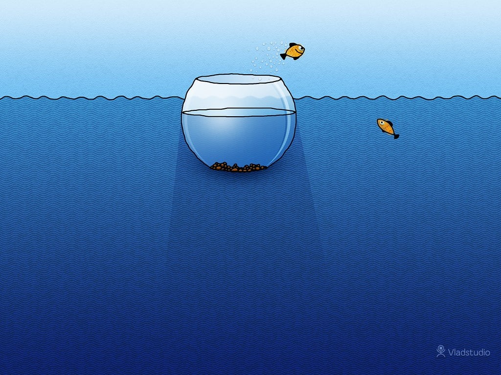 Vladstudio, fishbowls, fish, 480P, water, HD Wallpaper