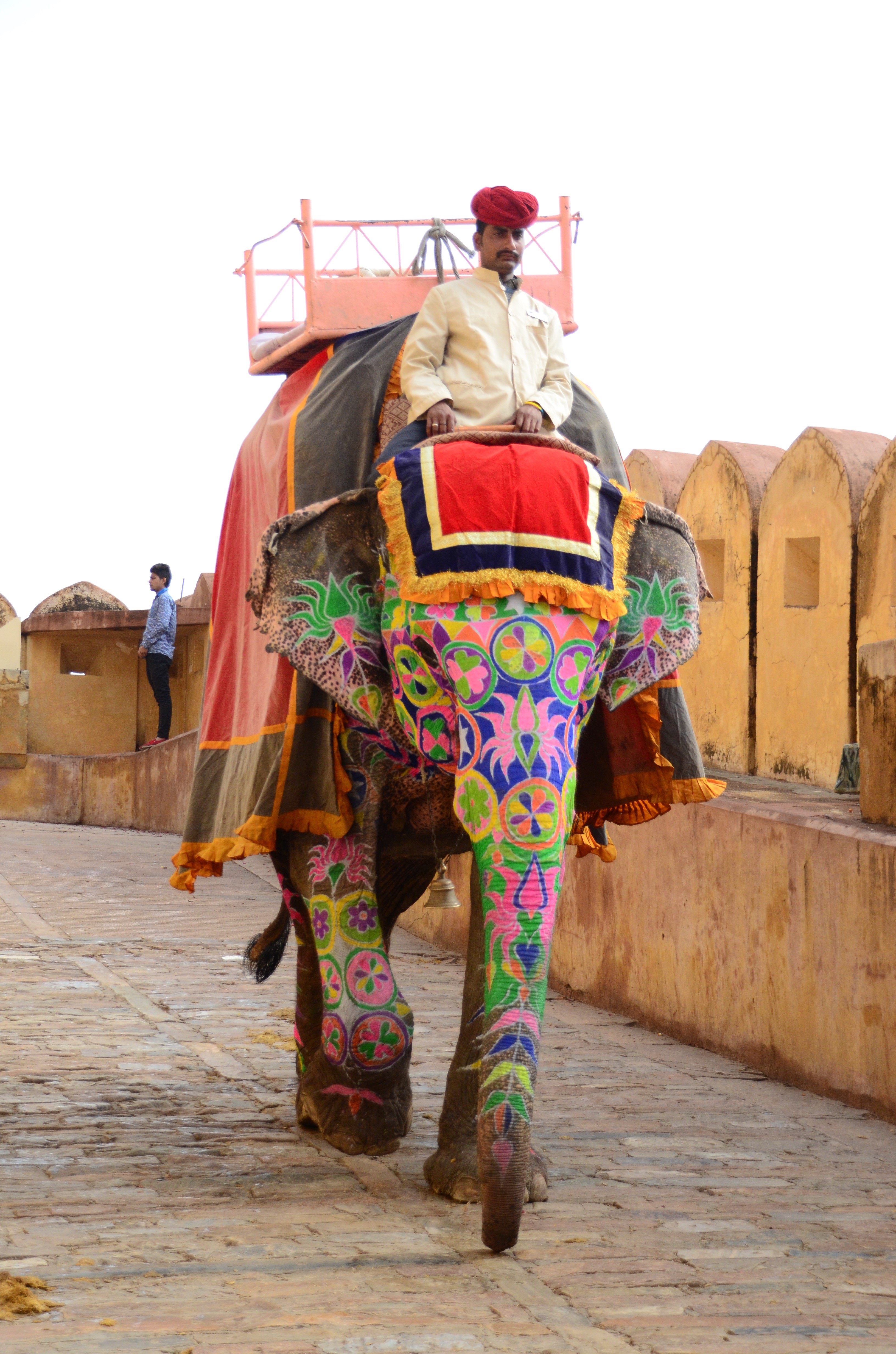 indian Ethnicity, day, men, indian Culture, travel destinations, india, mammal, full length, people, man, working animal, tourists, rear view, real people, Phone HD Wallpaper