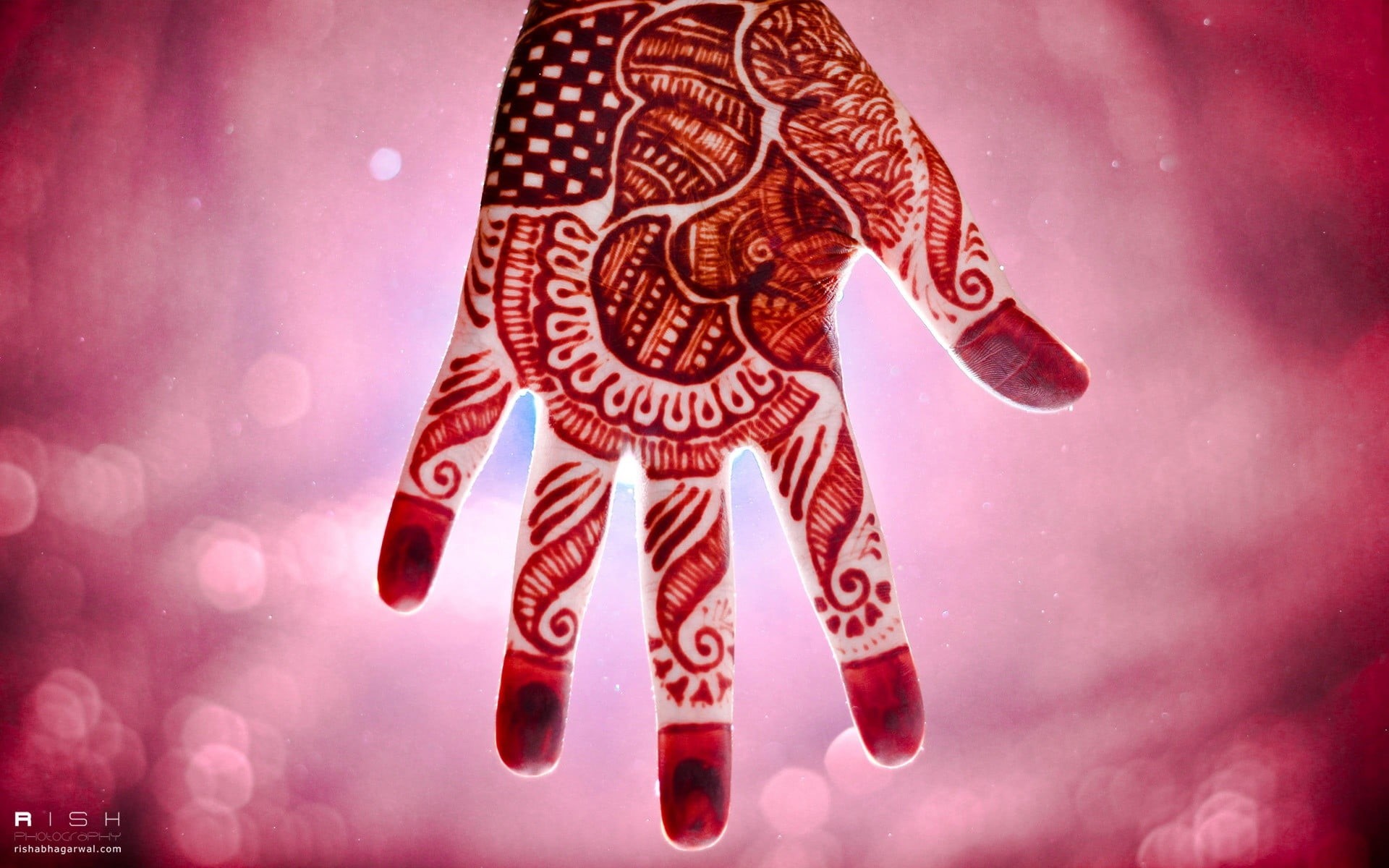 no people, animal, pattern, representation, tattoo, nature, close-up, henna, 1080P, pink color, indoors, decoration, red, art and craft, bokeh, event, HD Wallpaper