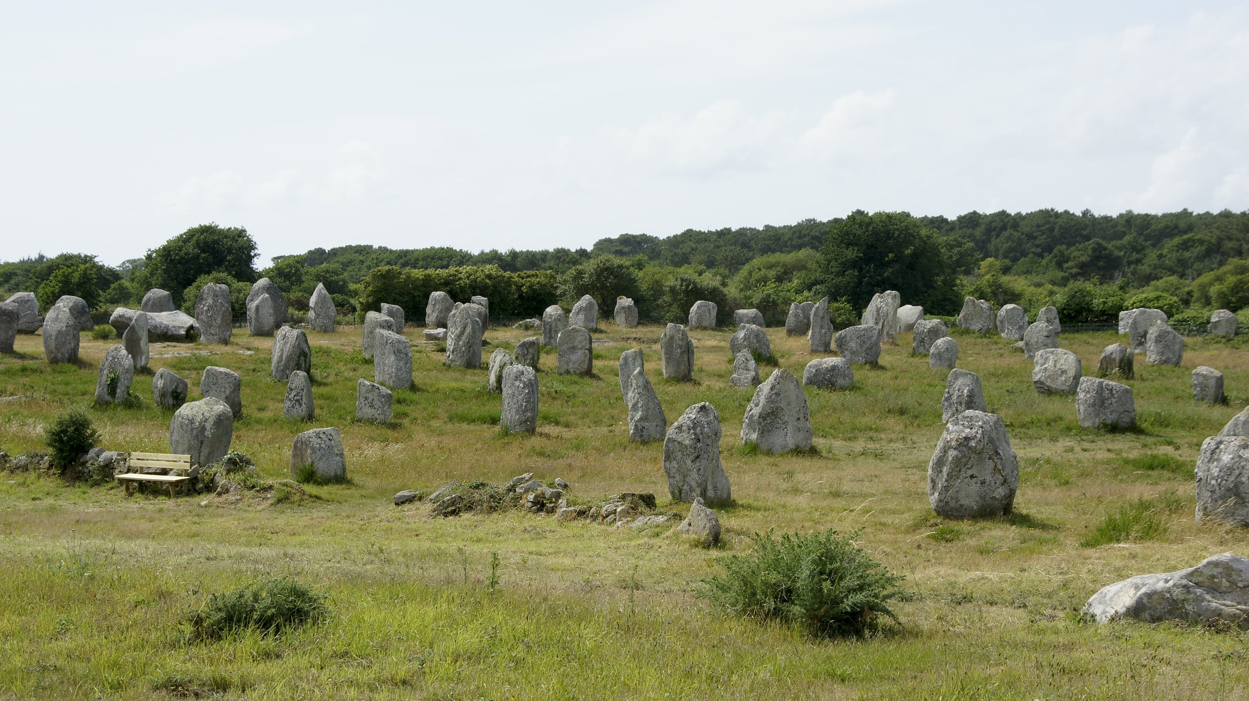 ancient, old, memorial, solid, tombstone, history, plant, Carnac, england, cemetery, archaeology, field, tree, animals in the wild, land, Alignments, day, HD Wallpaper