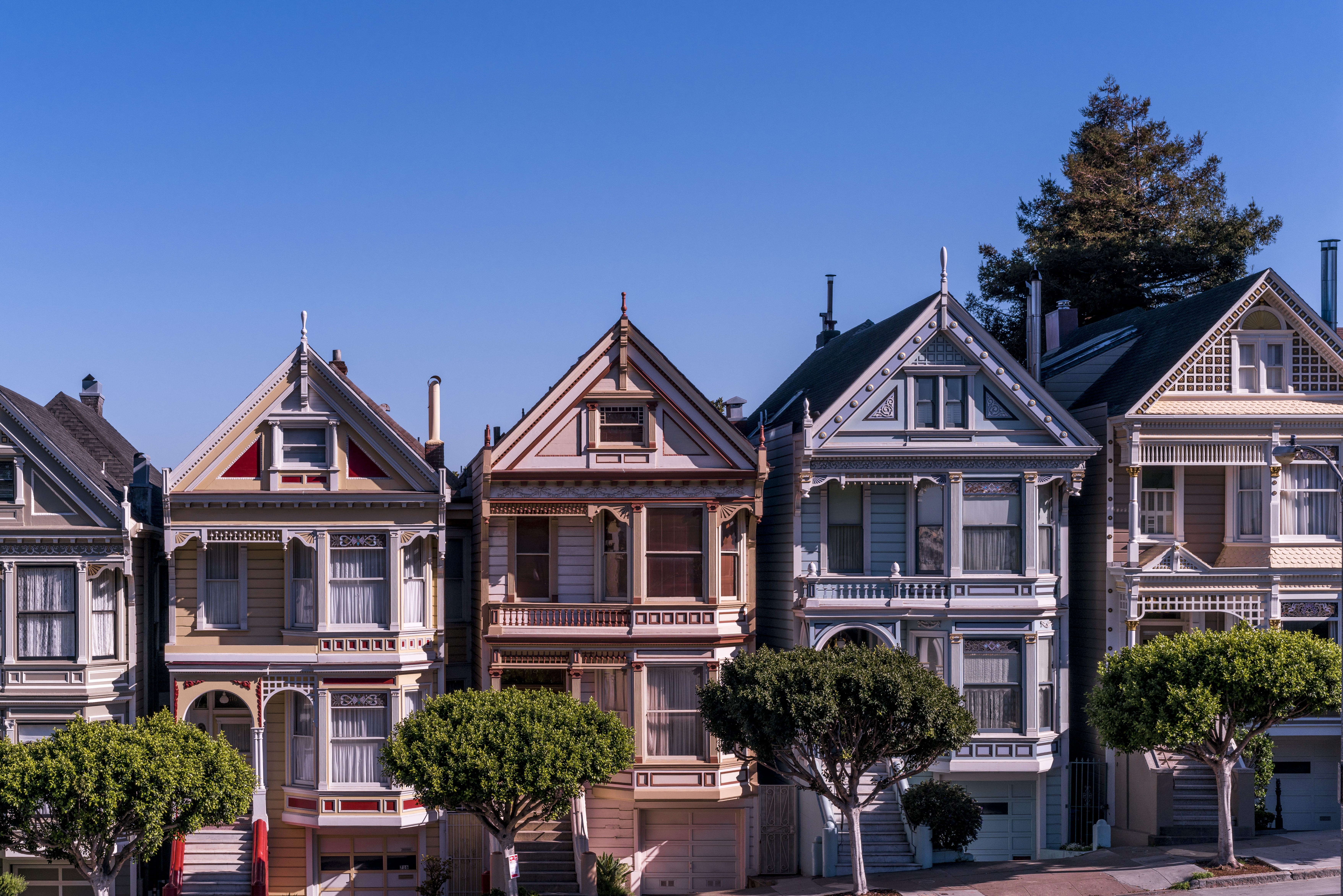 concrete, residential Building, nature, 5K, front or back yard, tree, built Structure, row house, architectural photography, alamo Square, luxury, suburb, HD Wallpaper