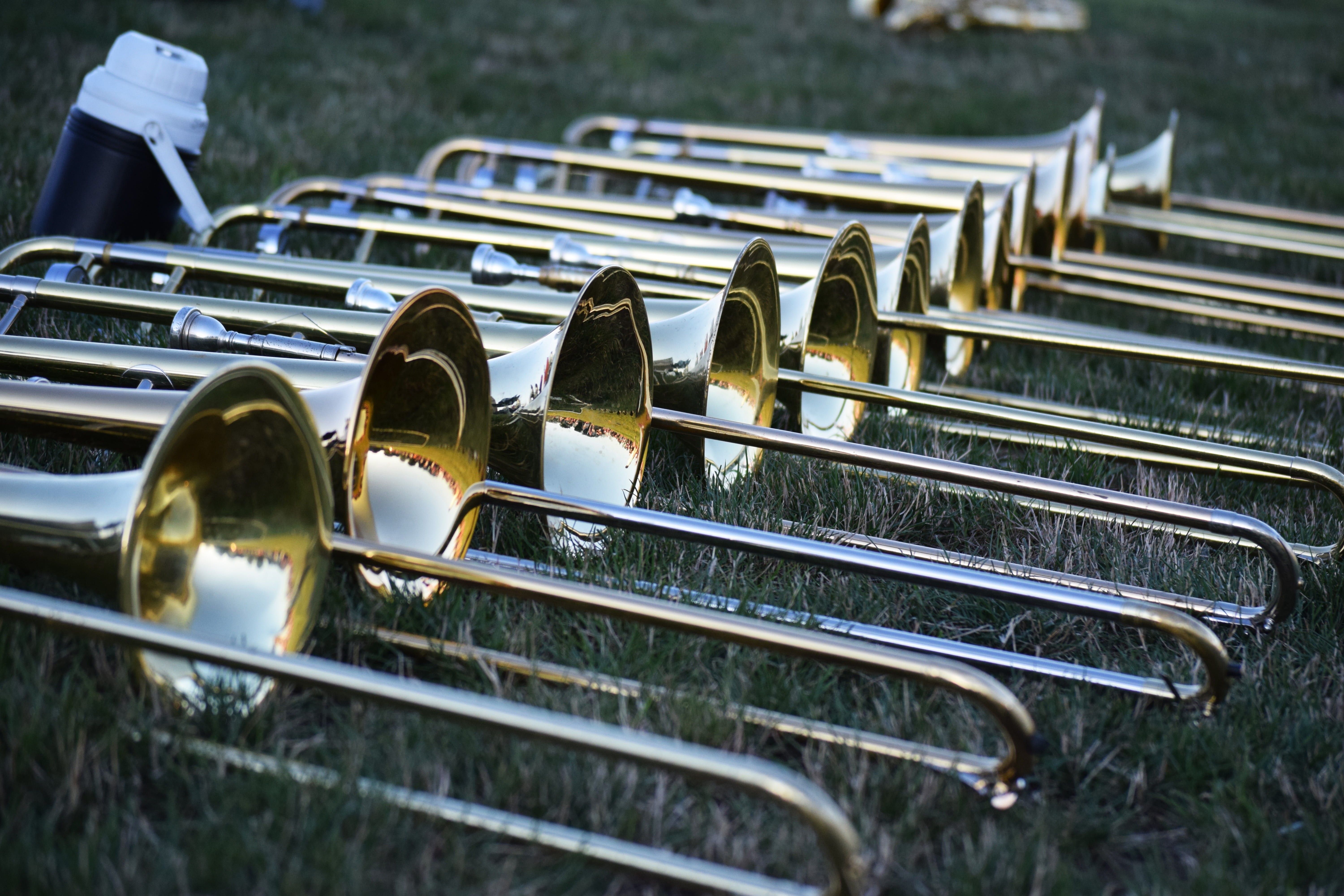 marching, focus on foreground, still life, close-up, green, close, jug, plant, field, arts culture and entertainment, high angle view, musical equipment, HD Wallpaper