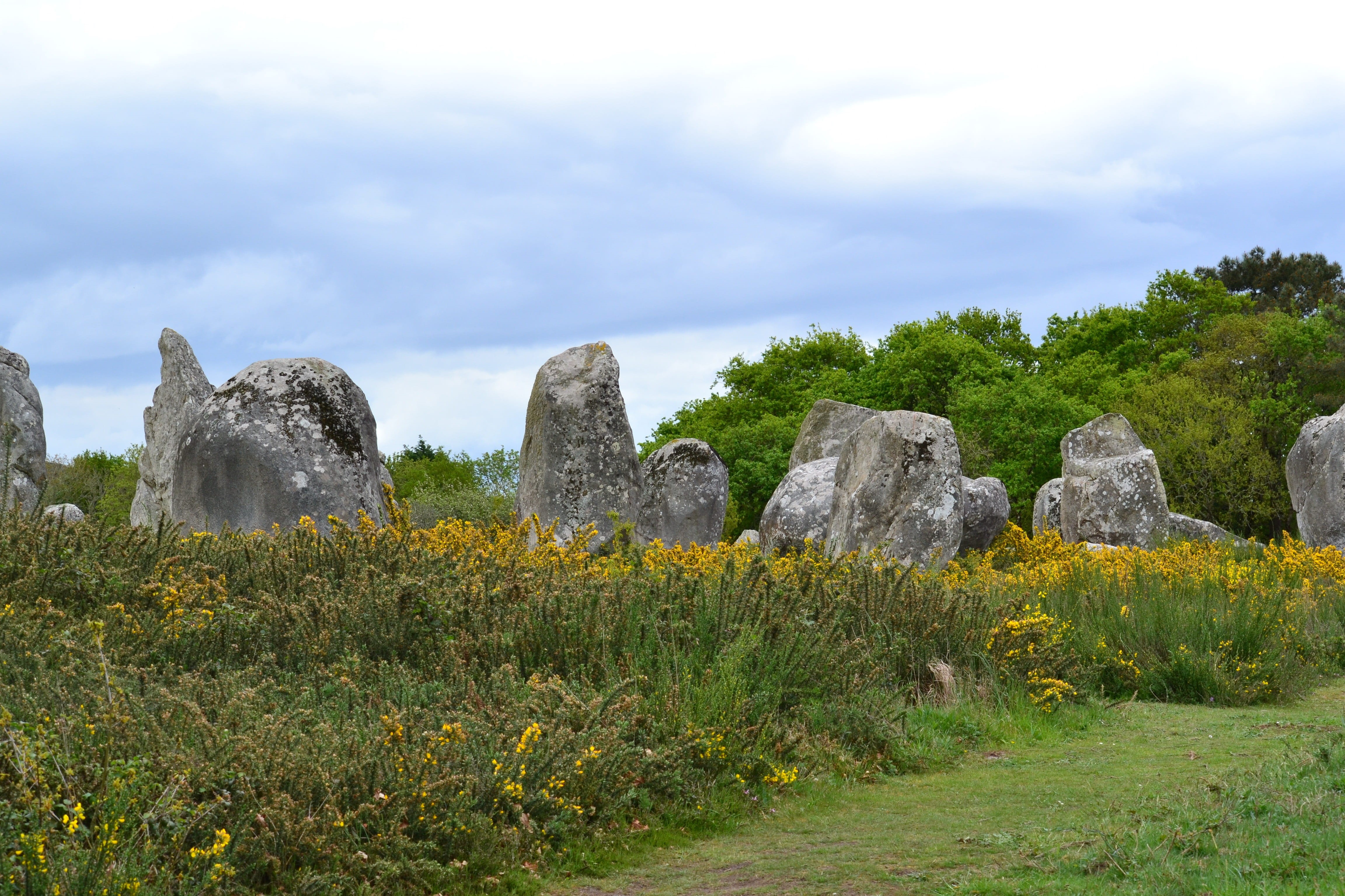 no people, stone Material, beauty in nature, land, rock, alignments, rock - object, plant, day, scenics - nature, france, Carnac, stonehenge, nature, green color, HD Wallpaper