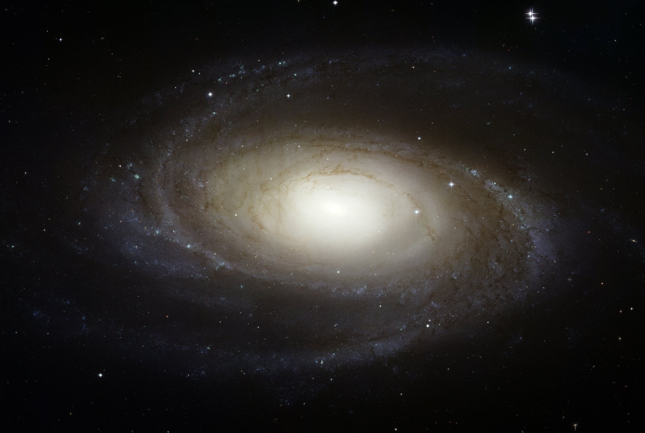majestic, backgrounds, no people, ngc 3031, research, star - Space, aviation, astronomy, spiral, astronautics, big bar, night, constellation, space, galaxy, HD Wallpaper
