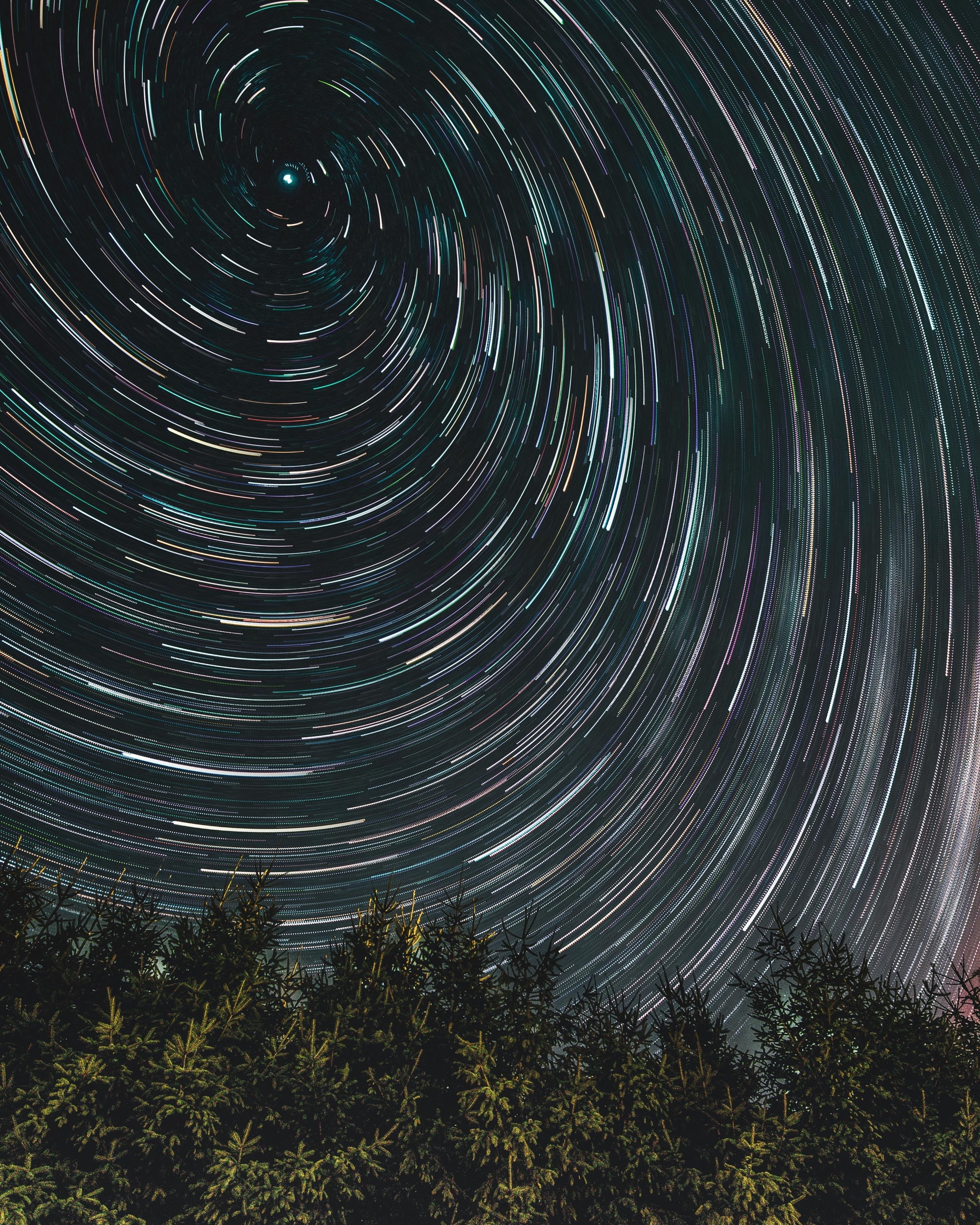 sky, space and astronomy, rotation, no people, motion, astronomy, star - space, tree, stars, scenics - nature, trees, space, star trail, beauty in nature, Phone HD Wallpaper