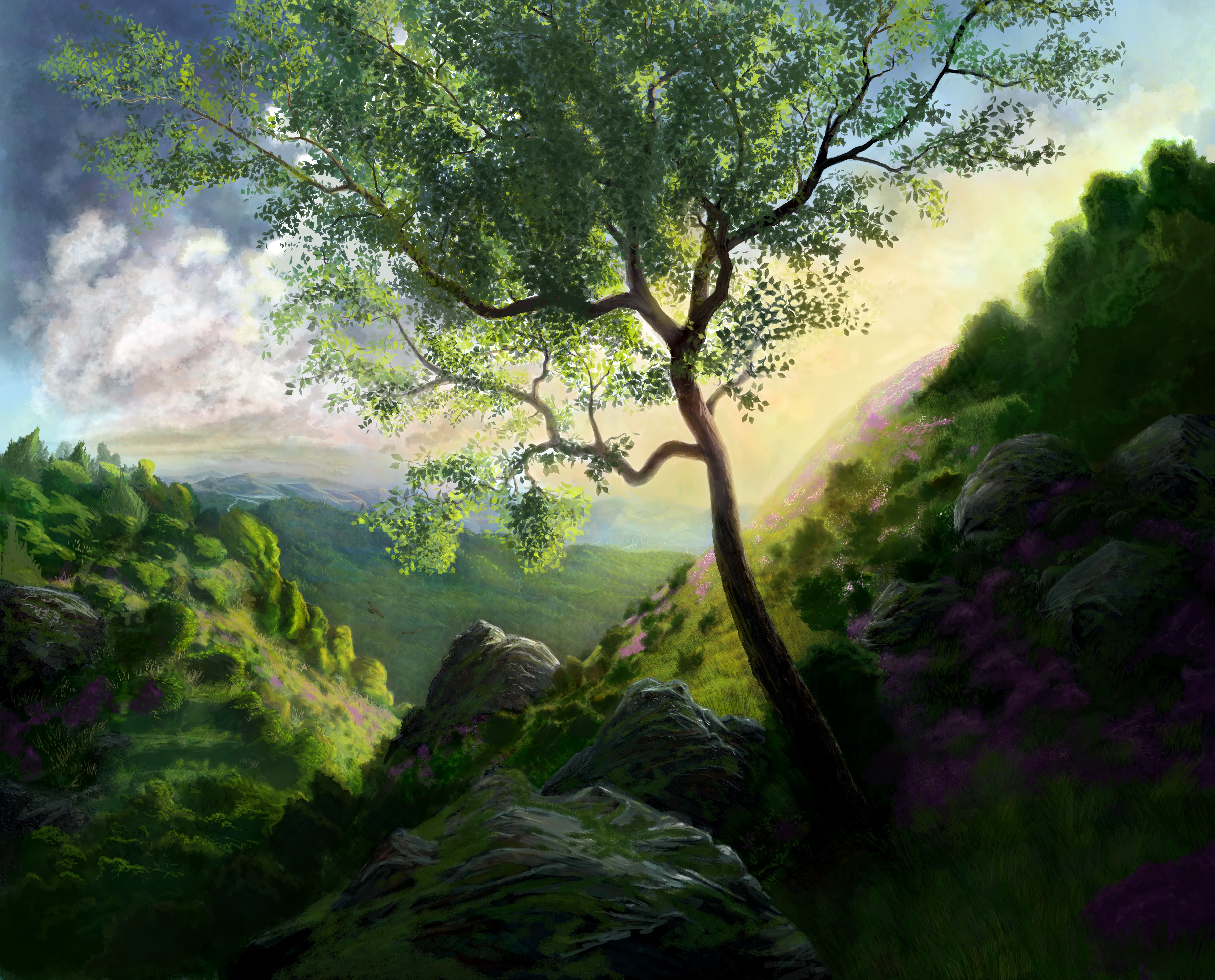 fog, landscape, sunlight, lush Foliage, mountain, tropical Climate, sunset, woodland, plant, greens, nature, branch, tropical Rainforest, cloud - Sky, tranquil Scene, HD Wallpaper