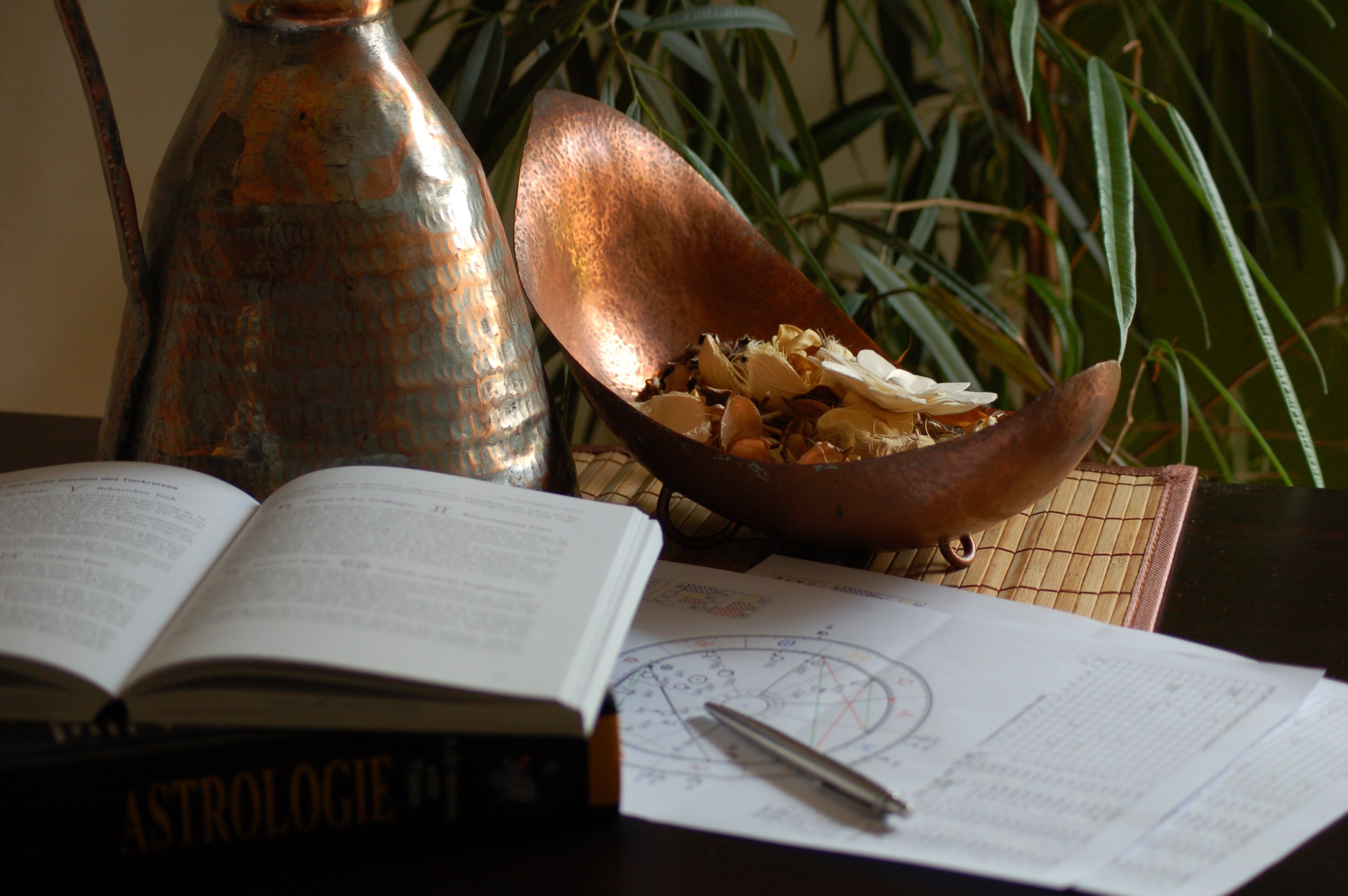 education, nature, food, symbol, beside, astrological, book, zodiac, close-up, page, paper, selective focus, indoors, mystery, astrology, no people, wood - material, HD Wallpaper